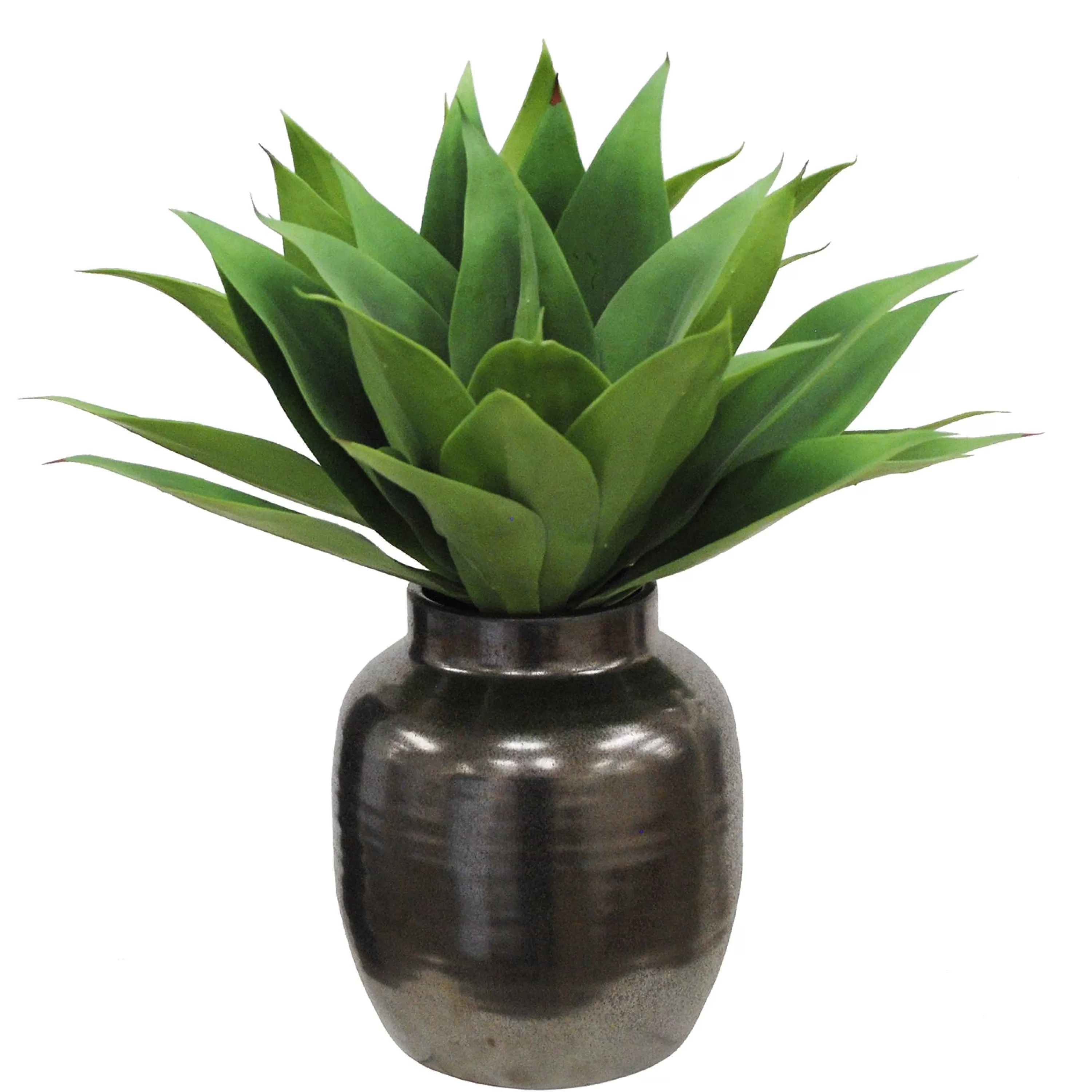 Clearance Aloe in Crete Pot 21-inches tall Succulent Arrangements | Urban