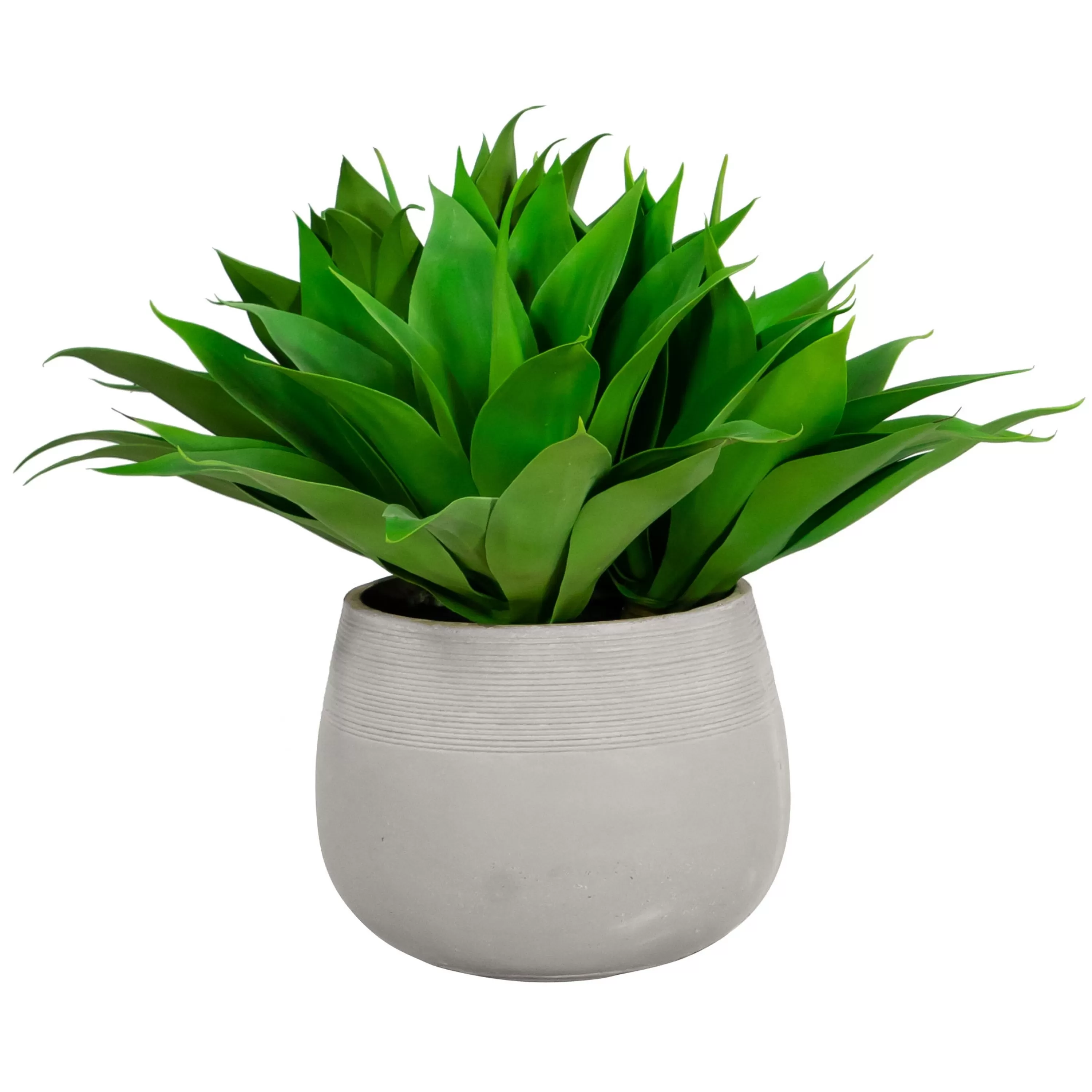 Shop ALOE IN STONECAST PLANTER 25'' Succulent Arrangements | Outdoor Patio