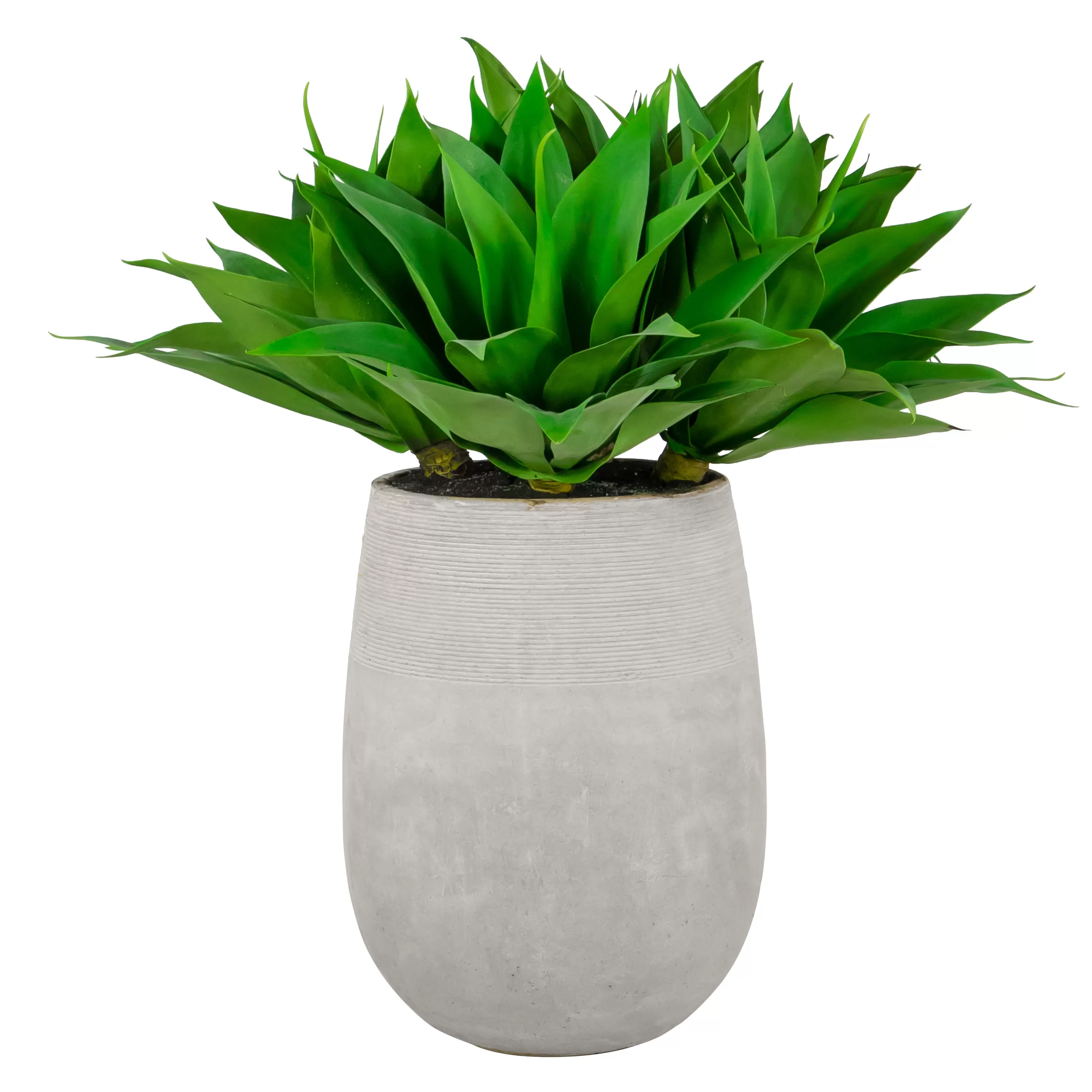 Best Aloe in Stonecast Planter 35" Succulent Arrangements | Outdoor Patio