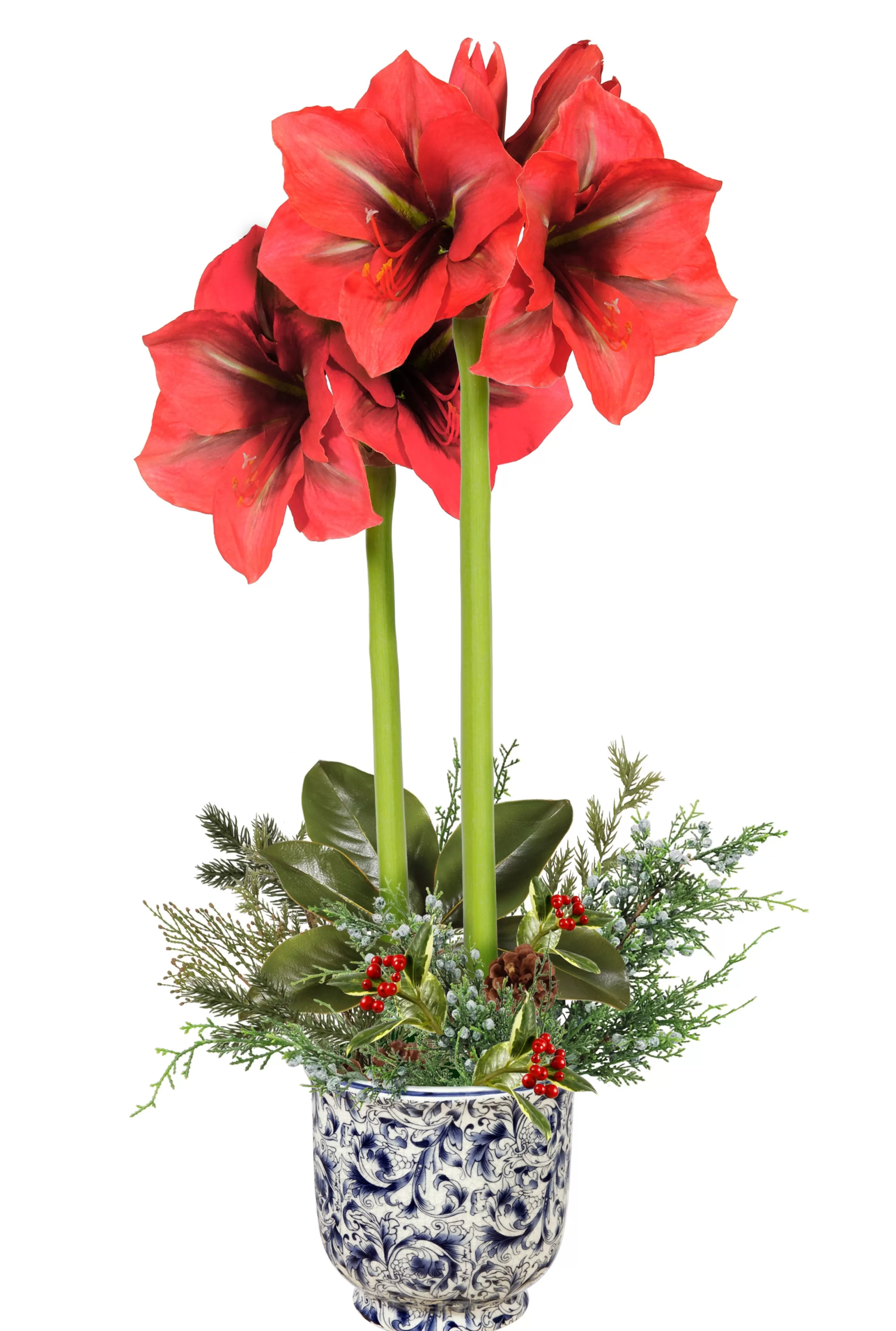 Best Sale Amaryllis Arrangement Our Favorite Holiday Decor