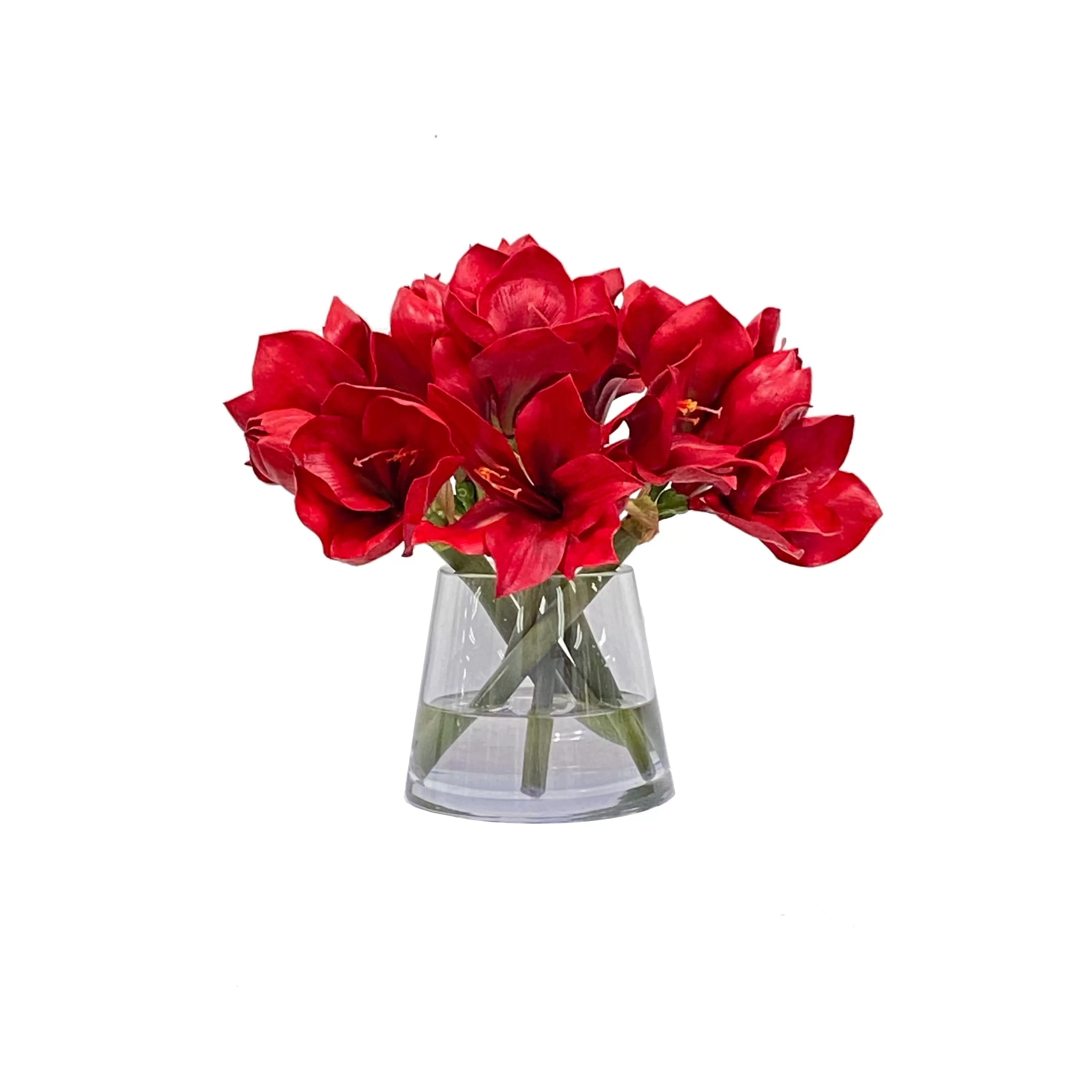 Outlet Amaryllis in Vase 14" Our Favorite Holiday Decor