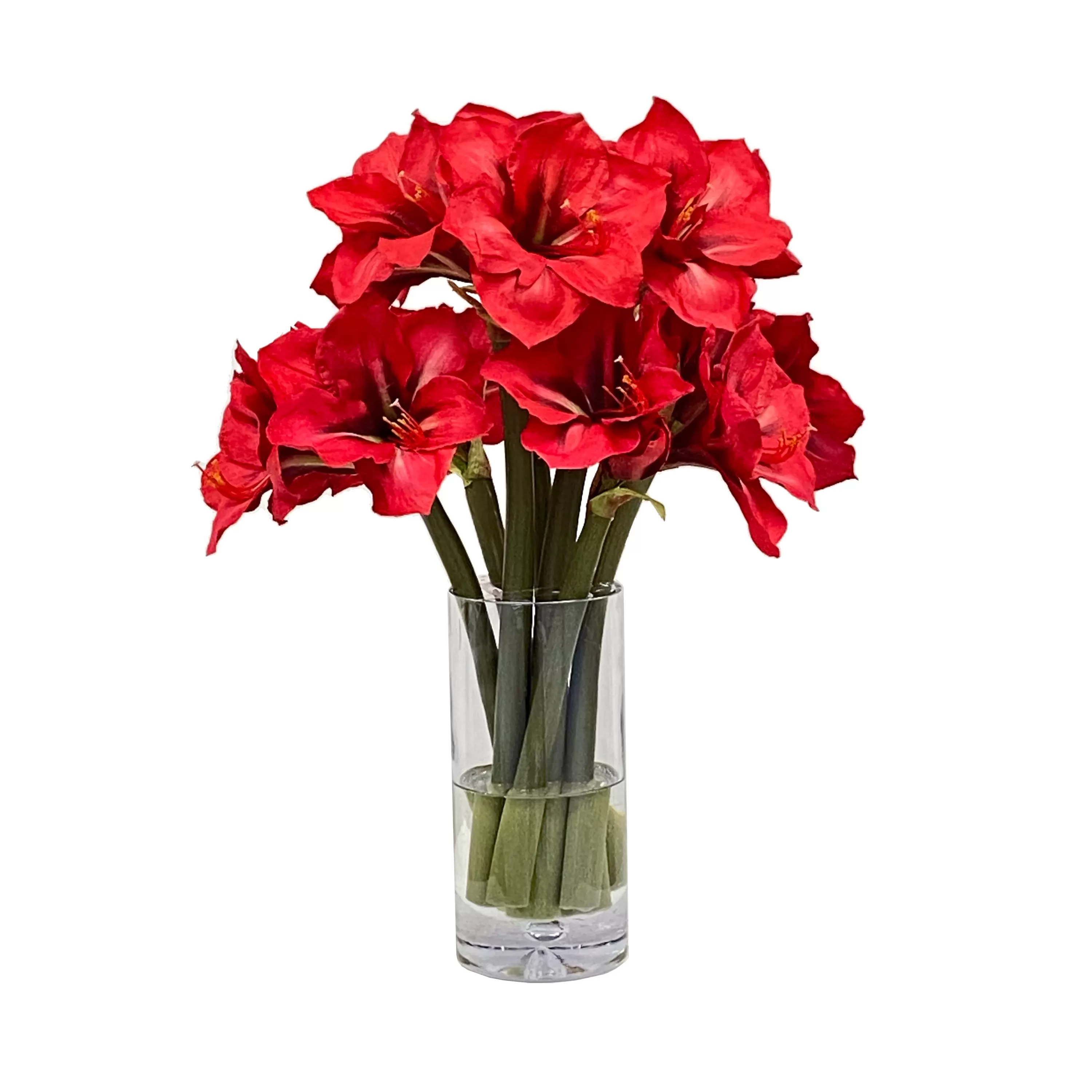 Clearance Amaryllis in Vase 23" Our Favorite Holiday Decor