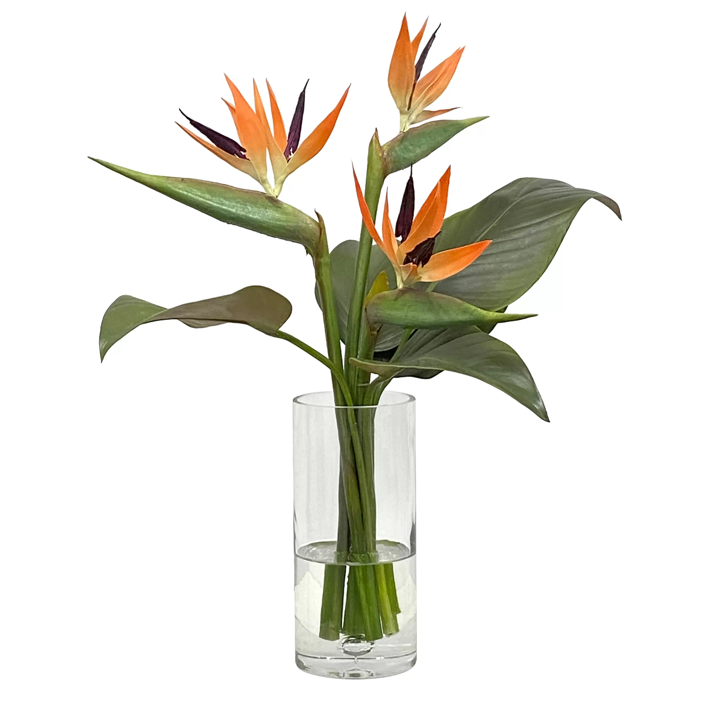 Best Sale Bird of Paradise in Vase Medium 22" Urban