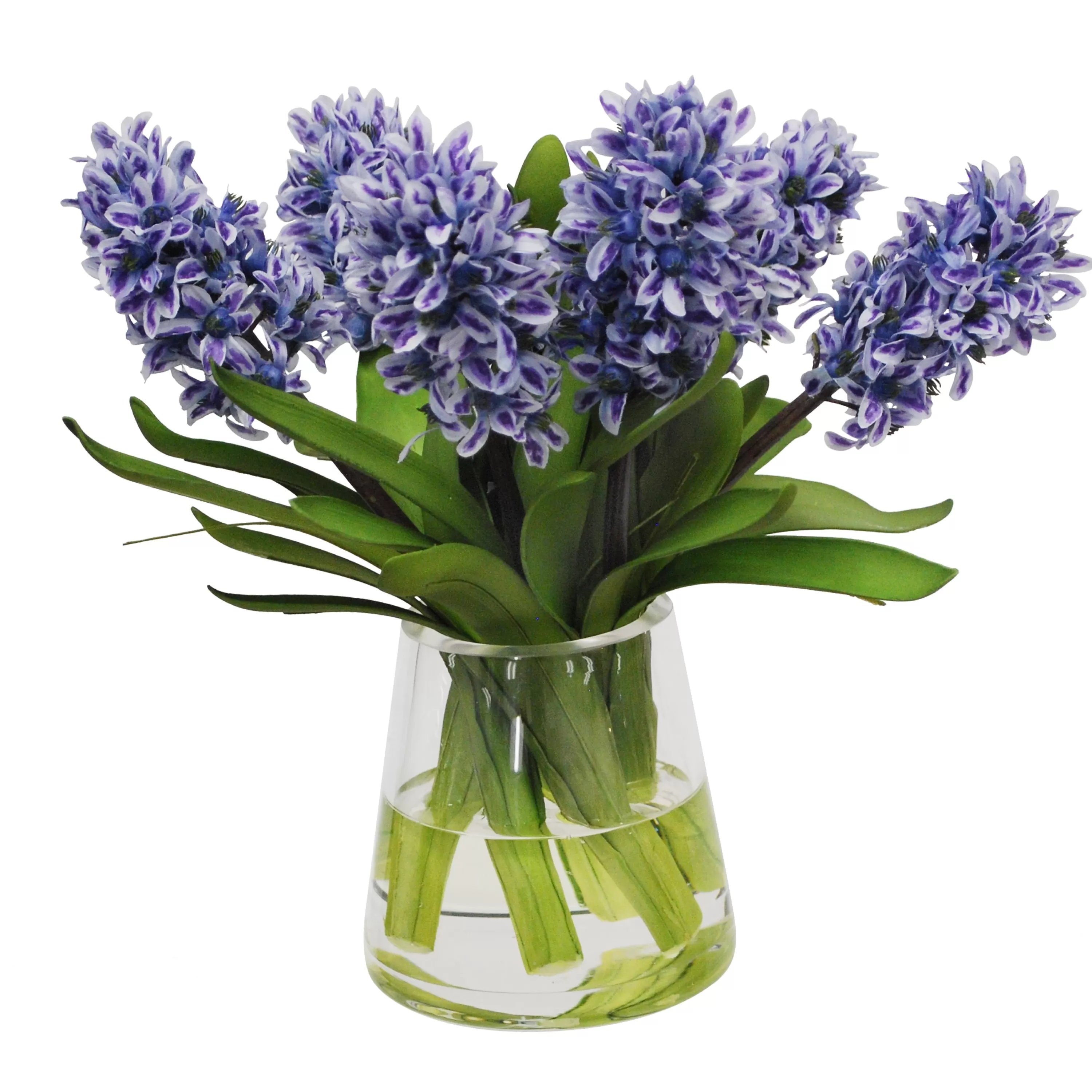 Hot BLUE HYACINTH IN GLASS 13" Manhattan