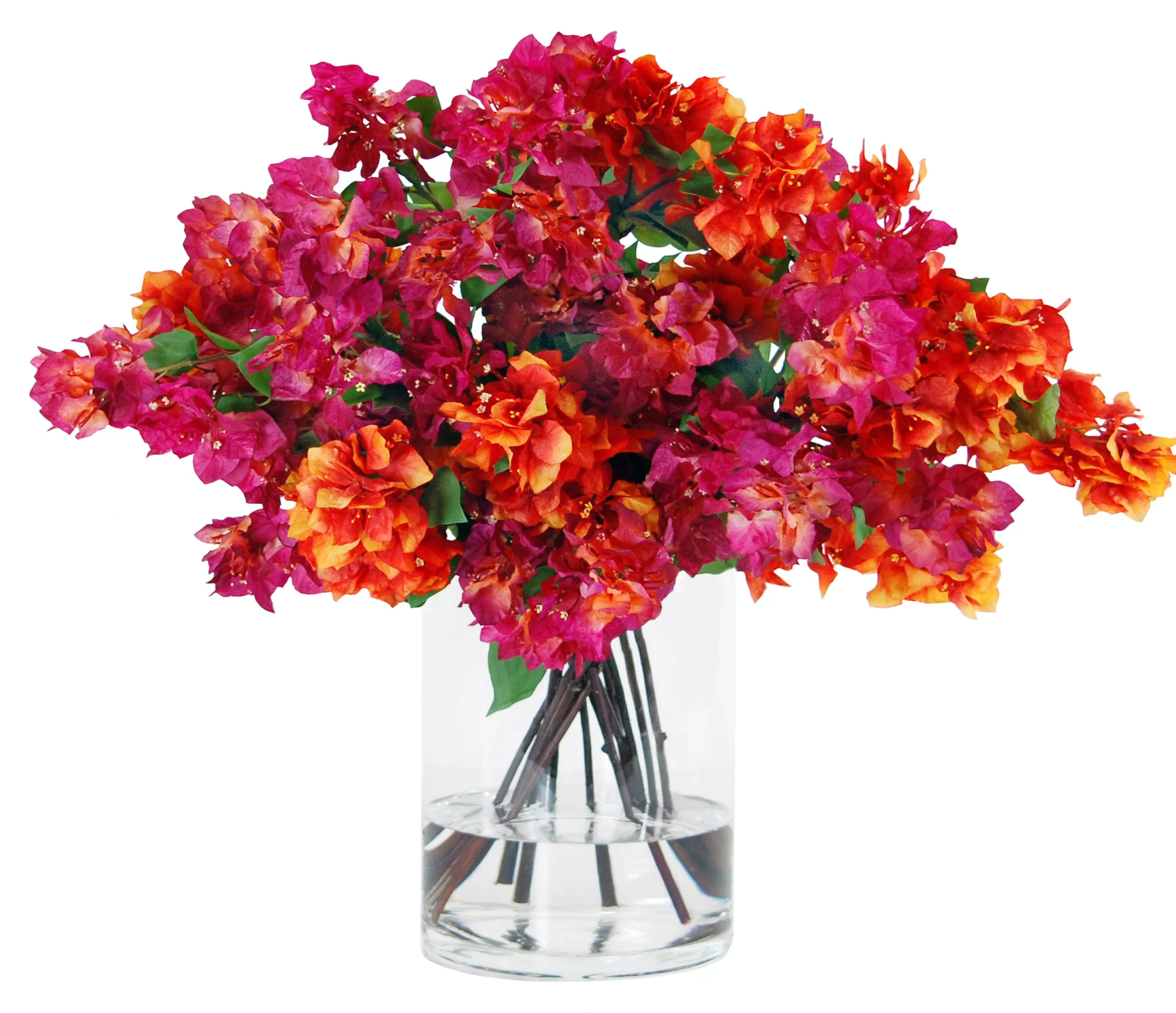 Best Sale BOUGAINVILLEA IN VASE 34" Tabletop | Urban