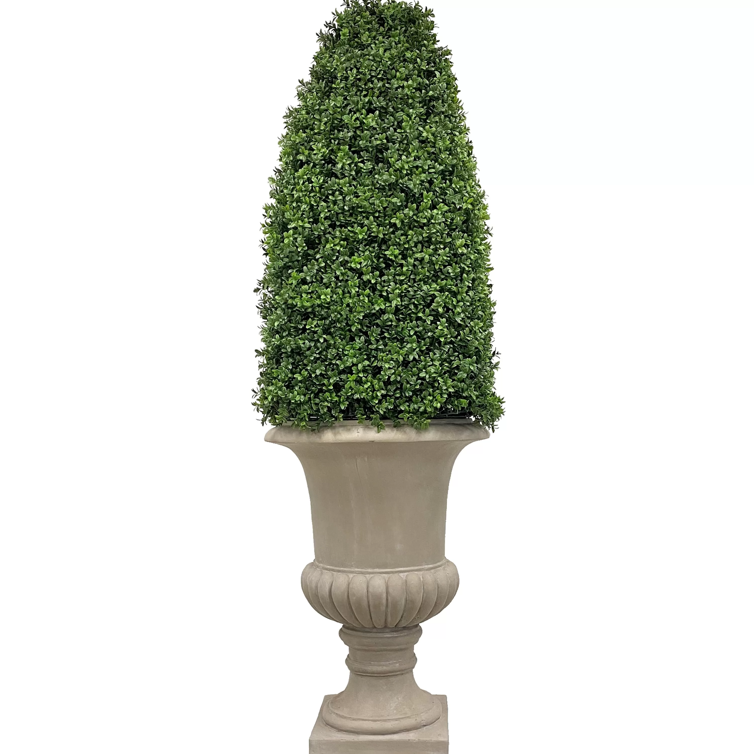 Clearance Boxwood Bullet in Urn 69" Indoor & Outdoor Boxwoods | Outdoor Patio