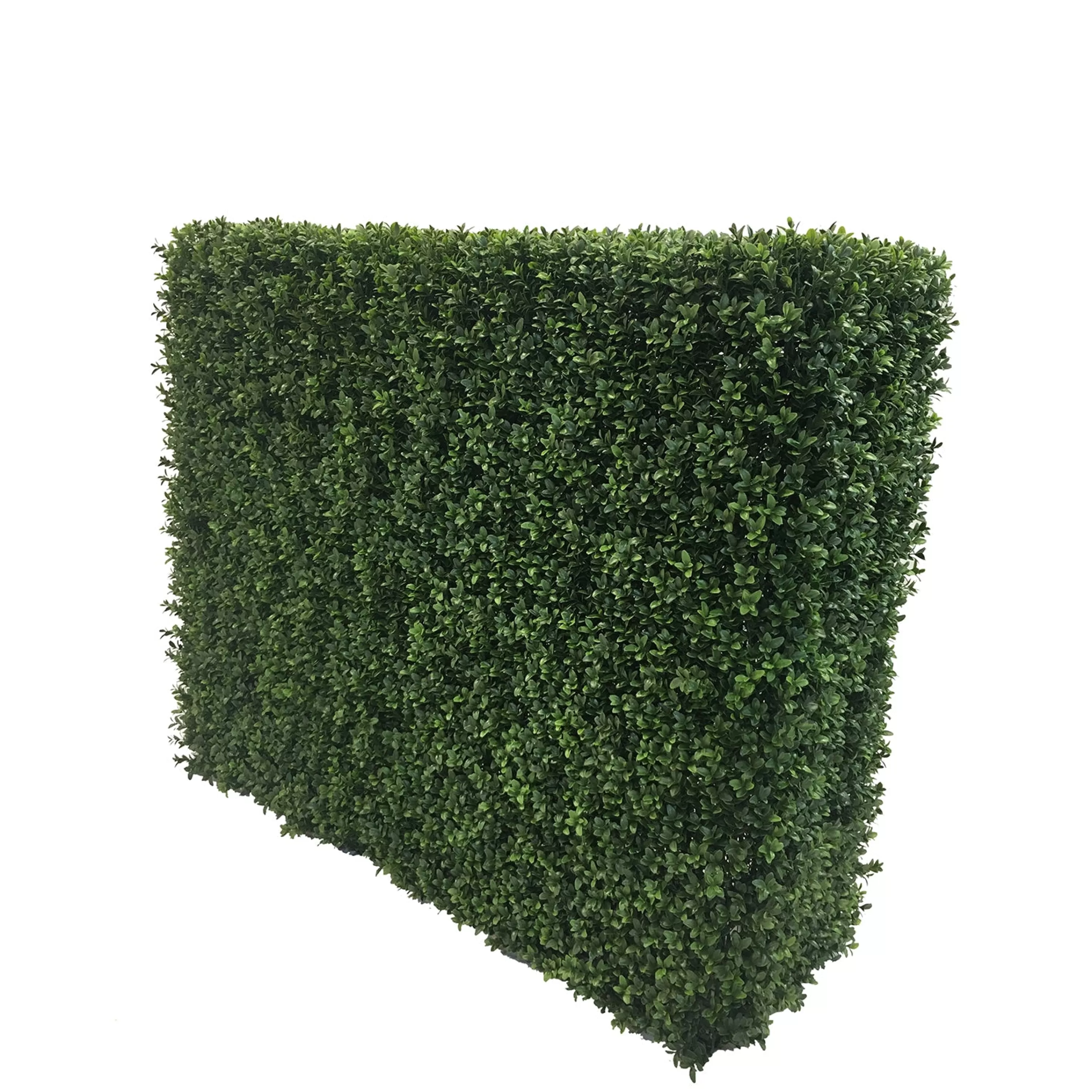 Fashion Boxwood Hedge 44" wide Indoor & Outdoor Boxwoods | Outdoor Patio