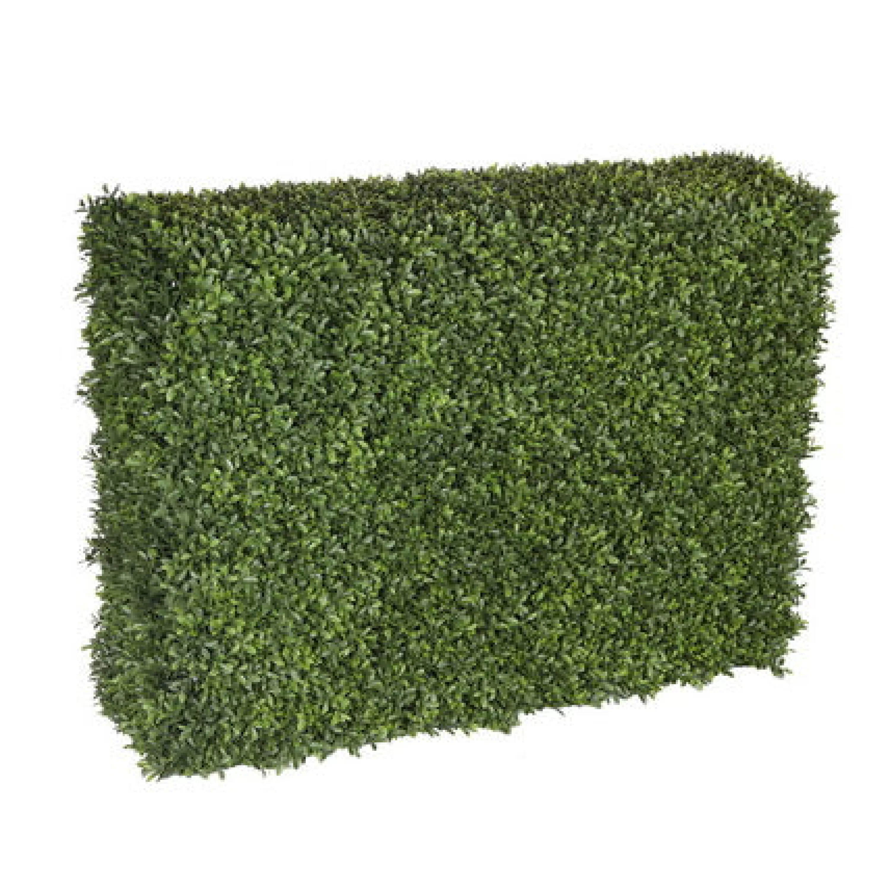 Sale Boxwood Hedge 39" wide Indoor & Outdoor Boxwoods | Outdoor Patio