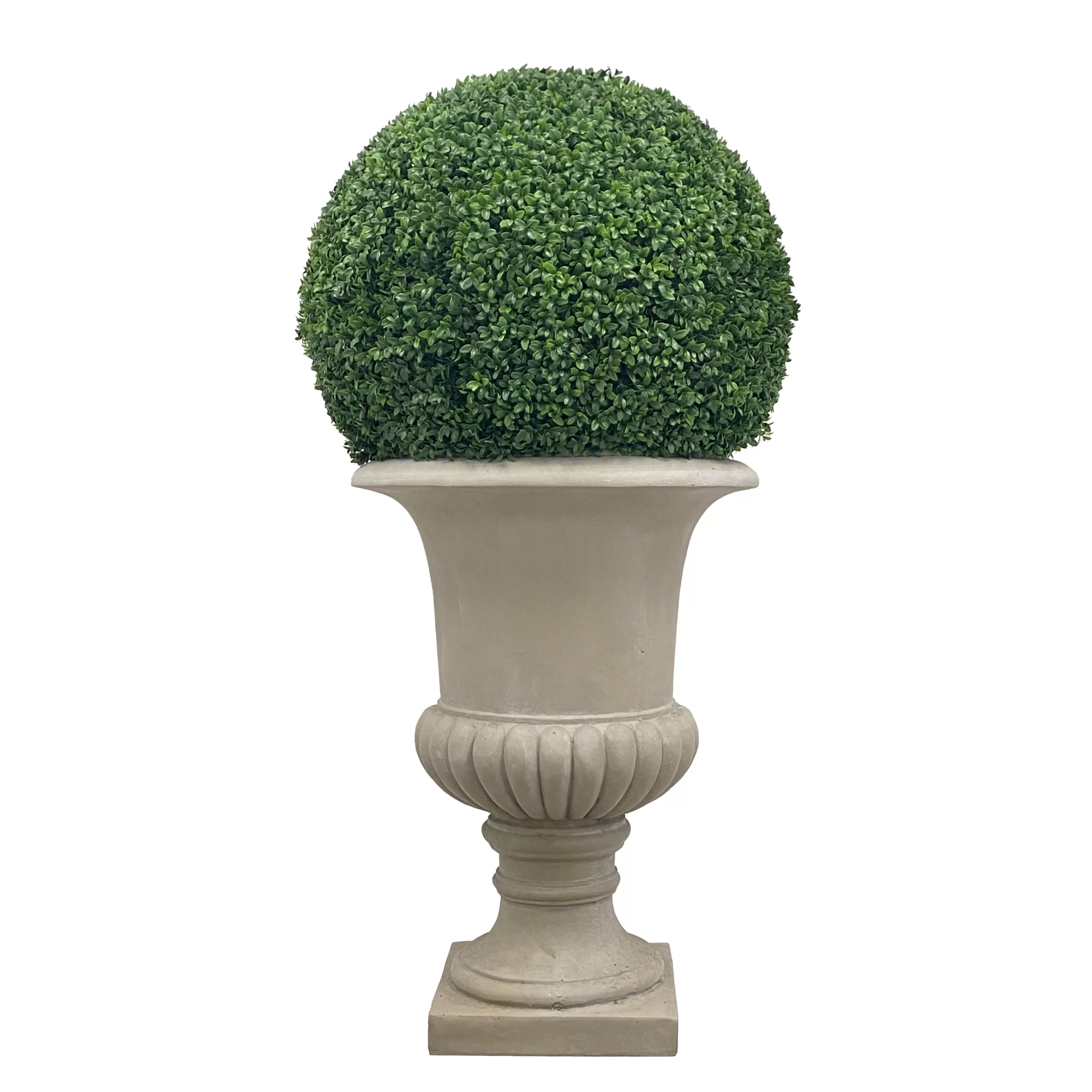 Flash Sale Boxwood in Urn 50" Indoor & Outdoor Boxwoods | Outdoor Patio