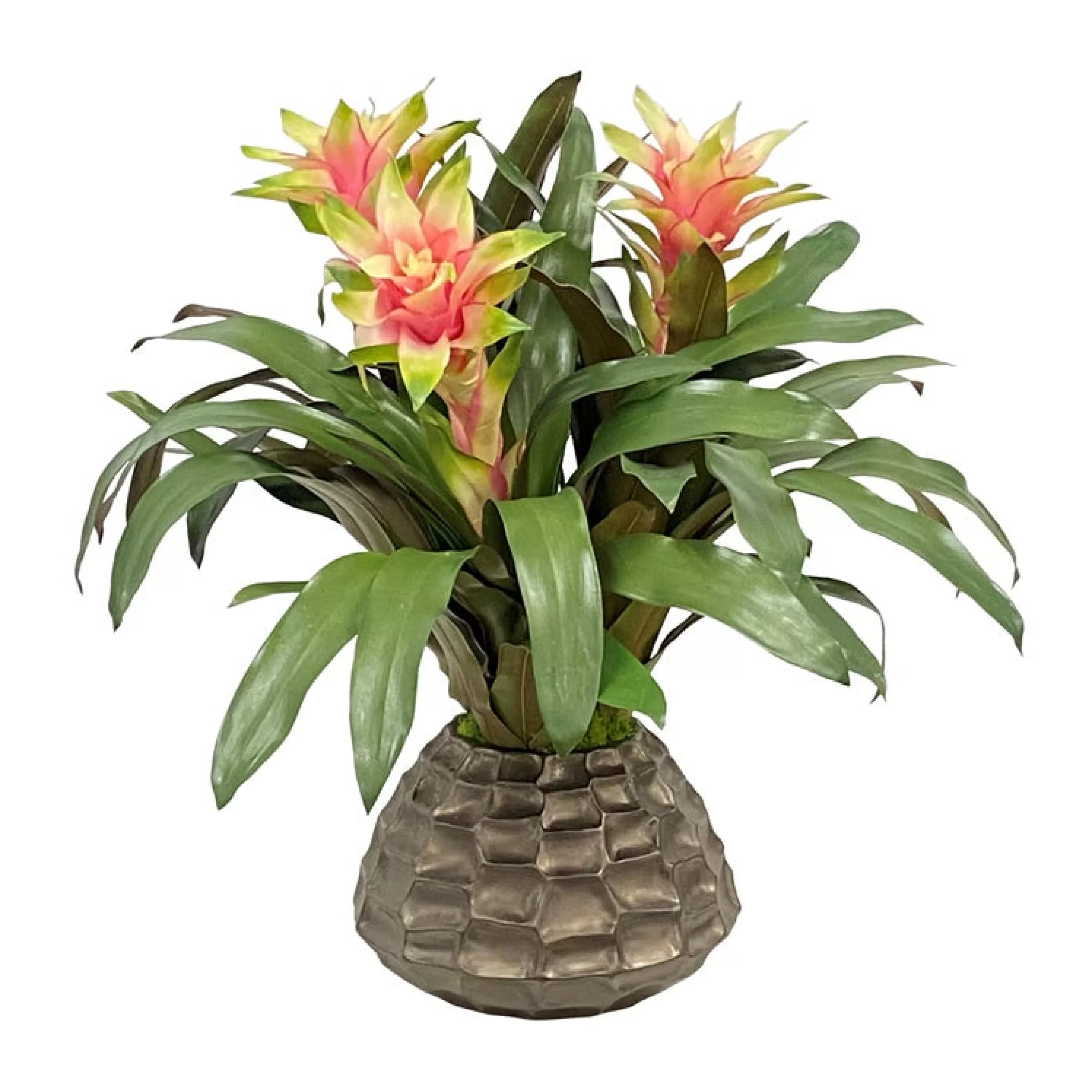 Clearance Bromeliad in Cache Pot 23" Urban