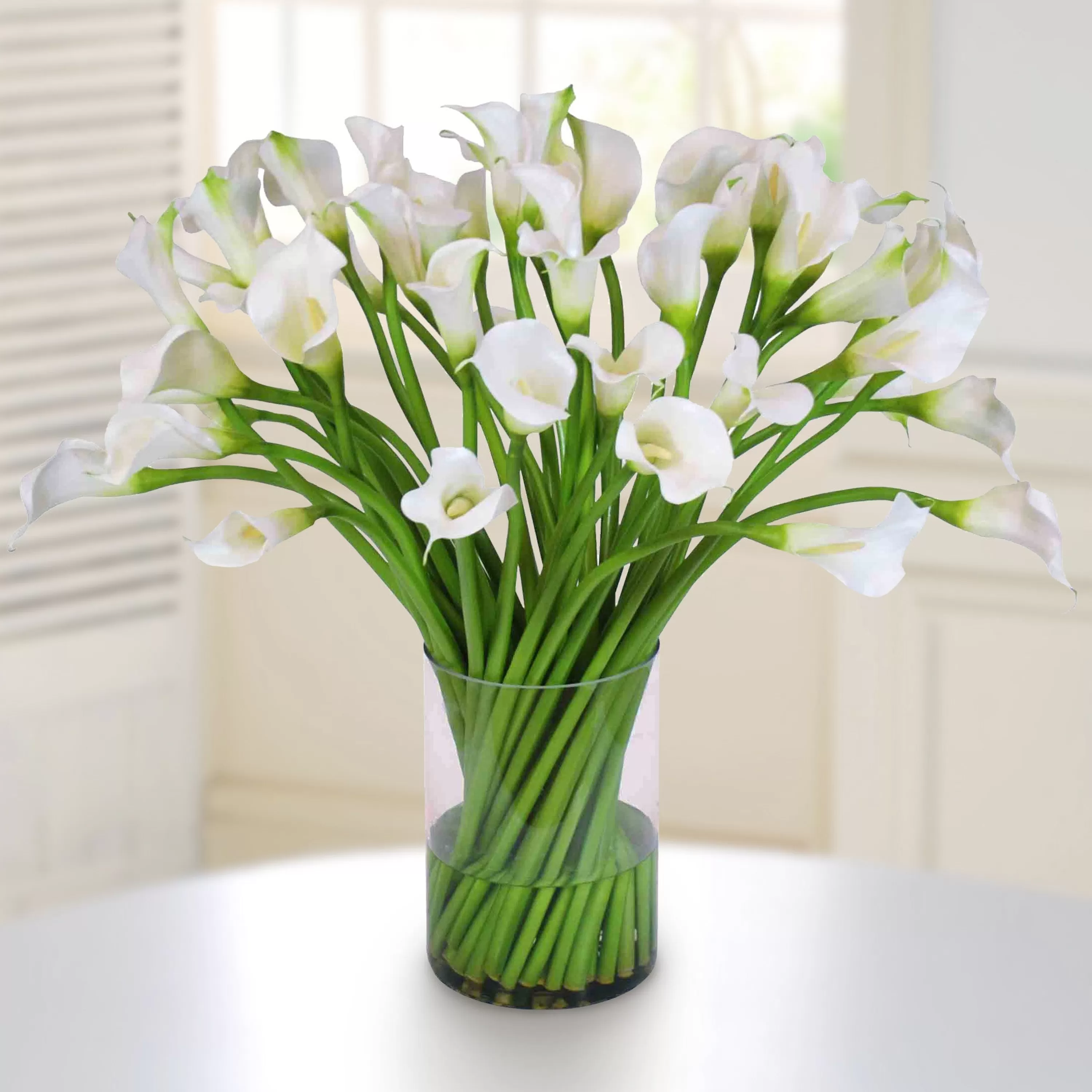 New Calla Lily in Clear Cylinder Vase 30” Manhattan