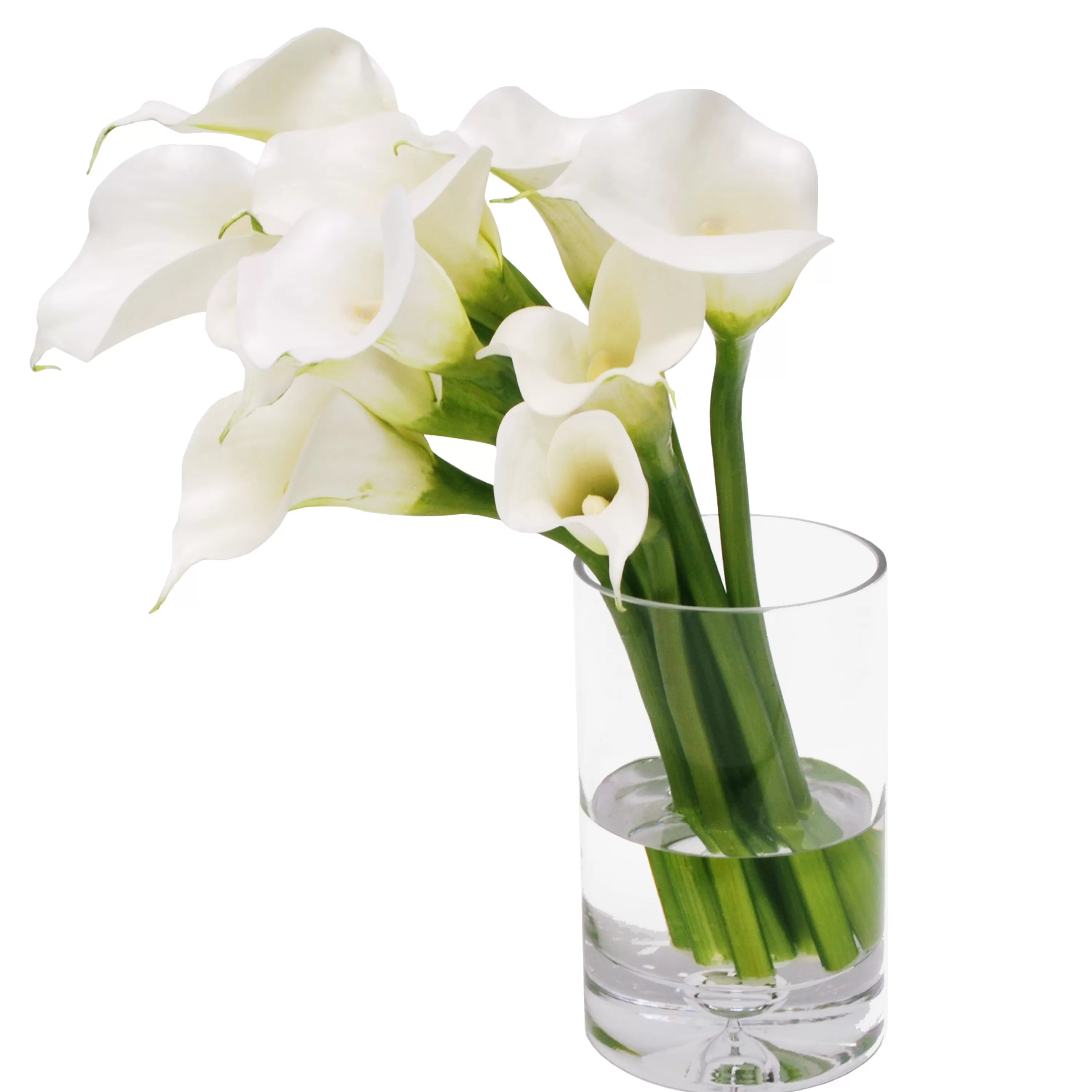 New CALLA LILY IN CYLINDER VASE 18" Tabletop | Manhattan