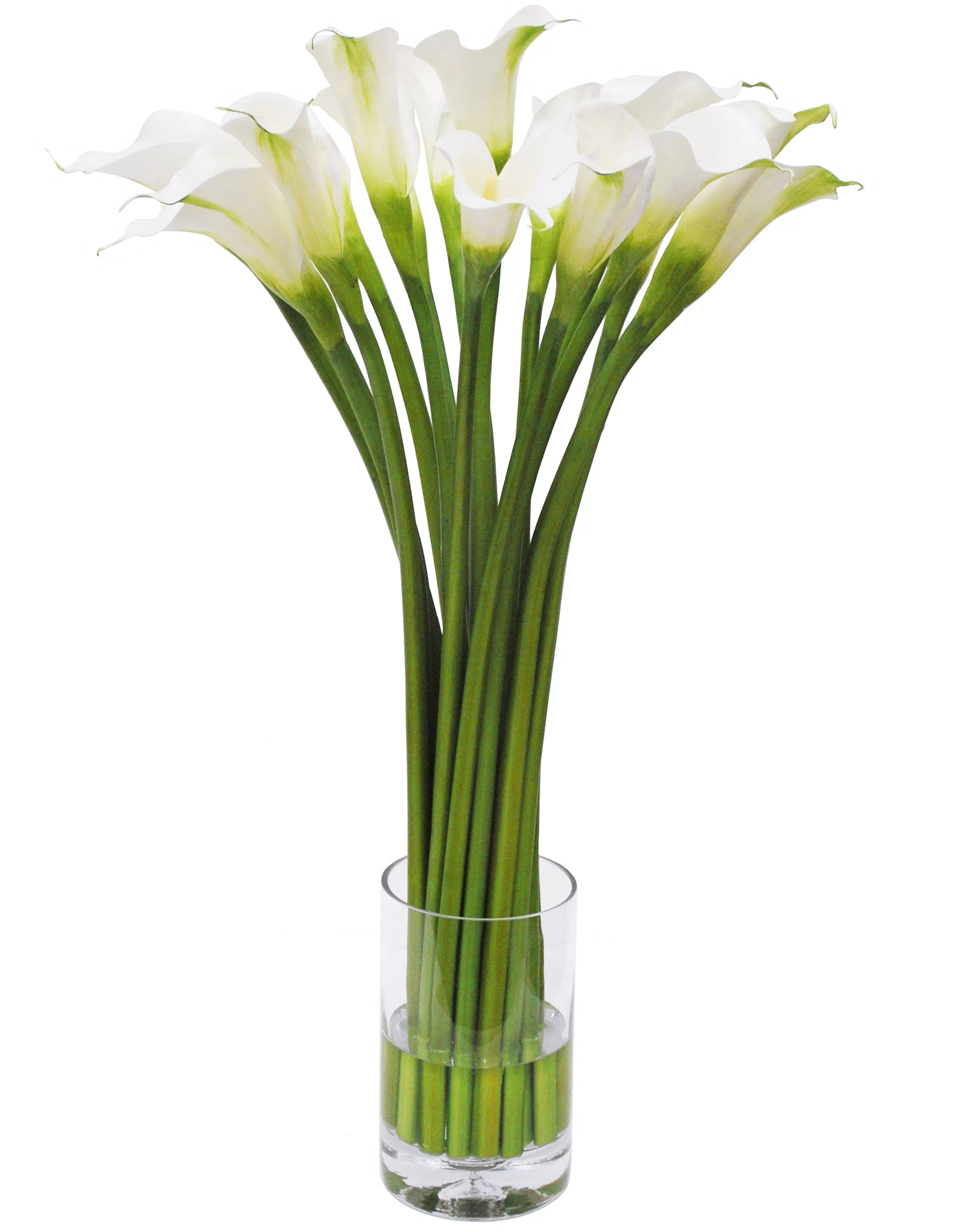 Clearance Calla Lily in Cylinder Vase 29" Manhattan