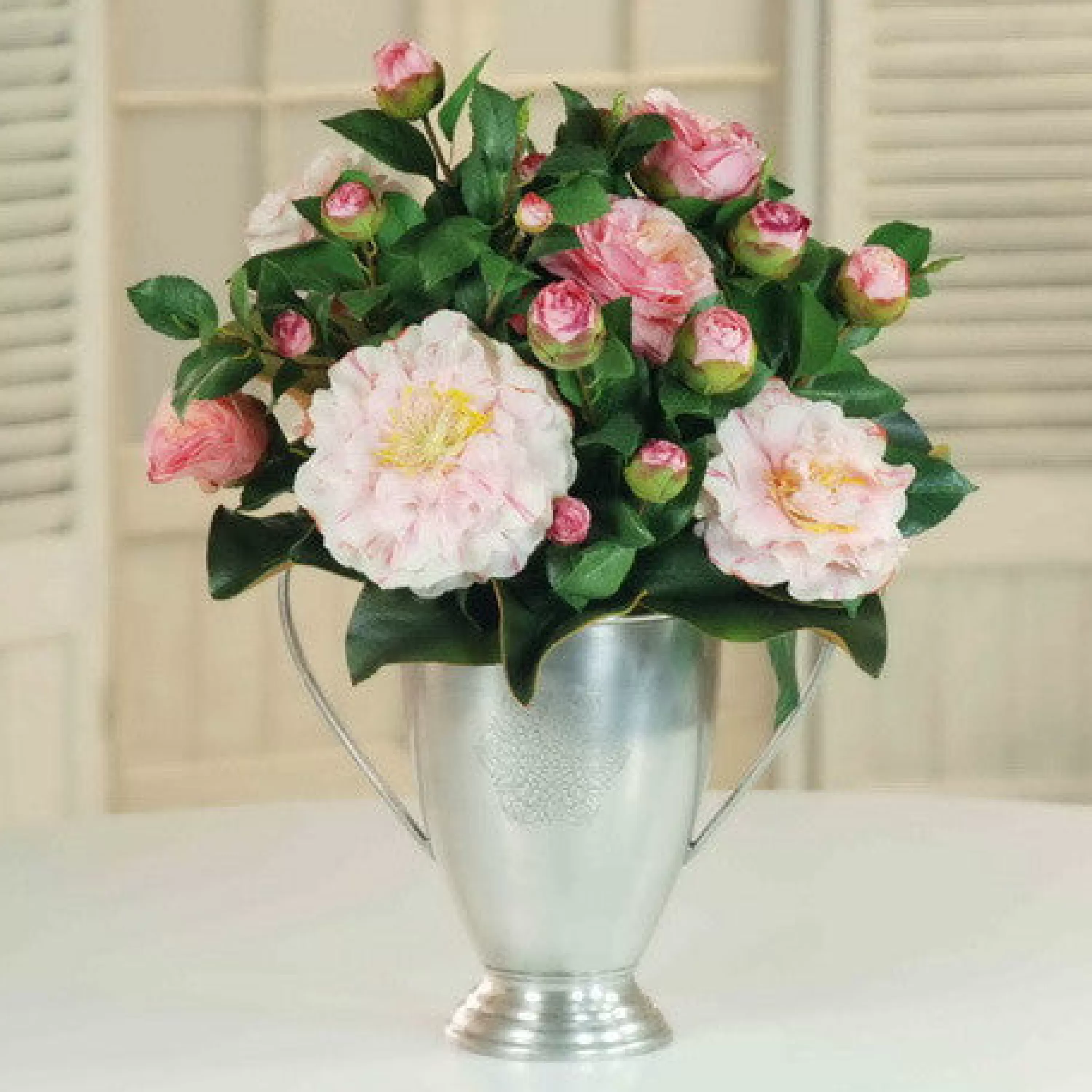 Shop CAMELLIA IN SILVER CUP (DP555-PK) Tabletop