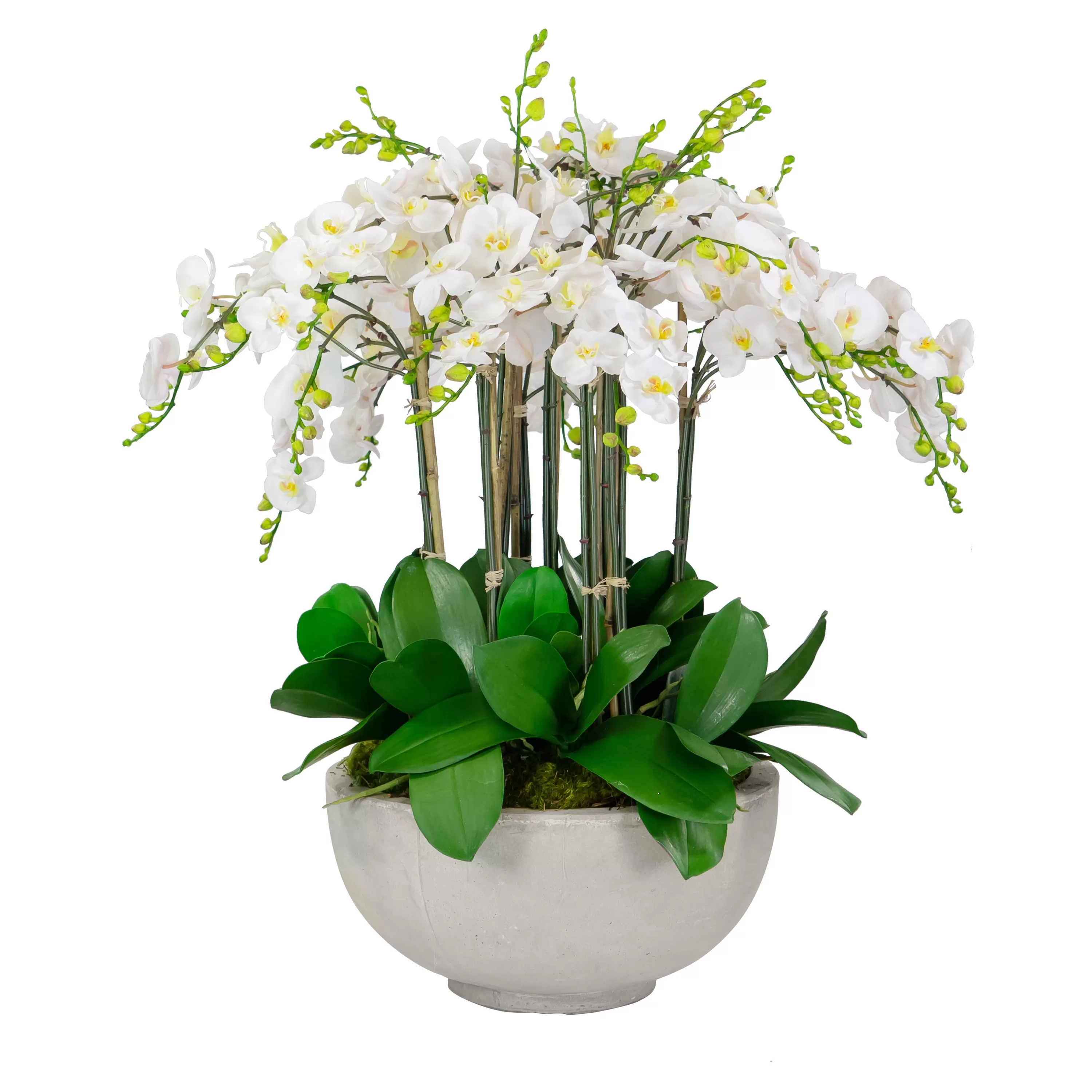 Cheap Deluxe Orchids in Bowl 34" Tabletop | Outdoor Patio