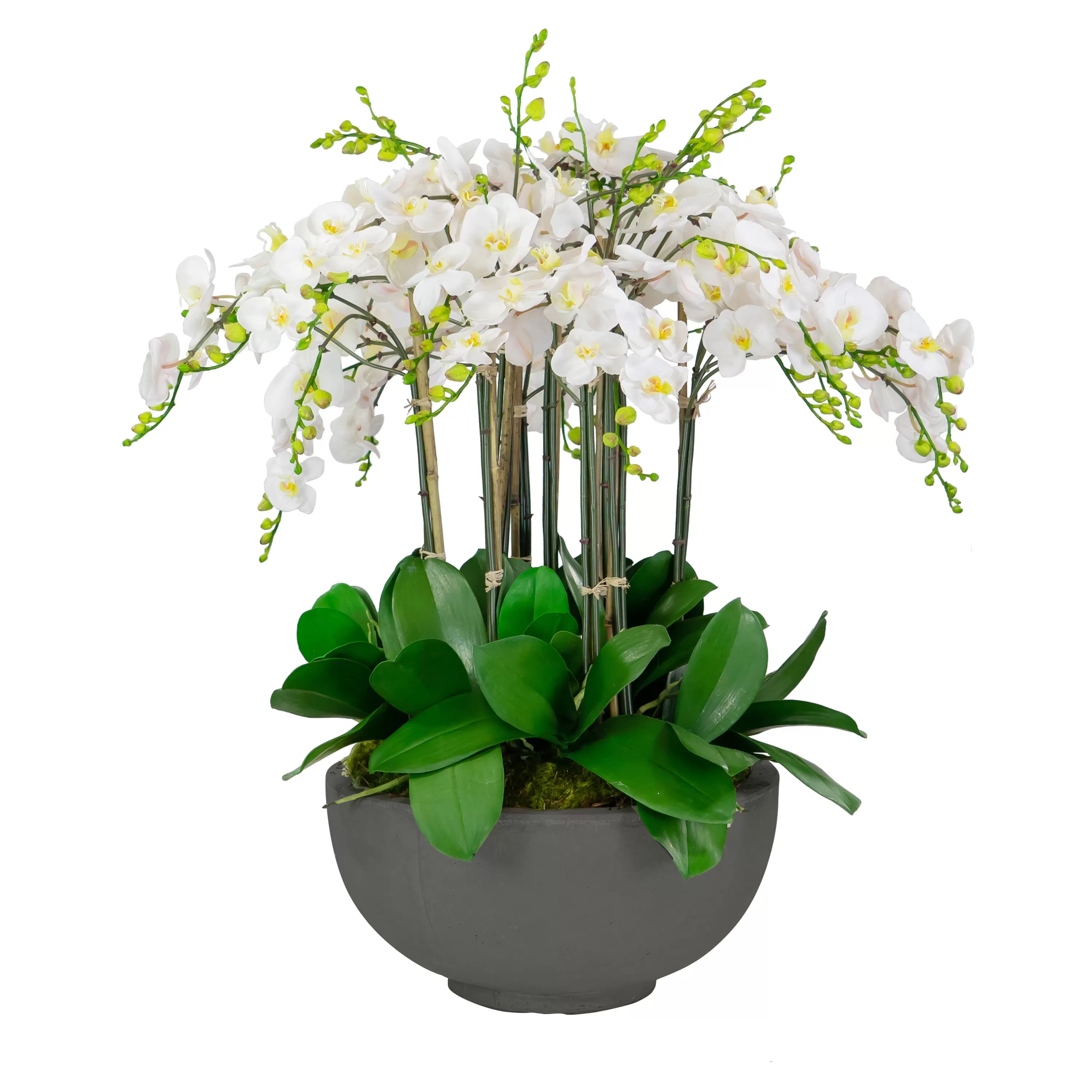 Online Deluxe Orchids in Bowl 34" Outdoor Patio