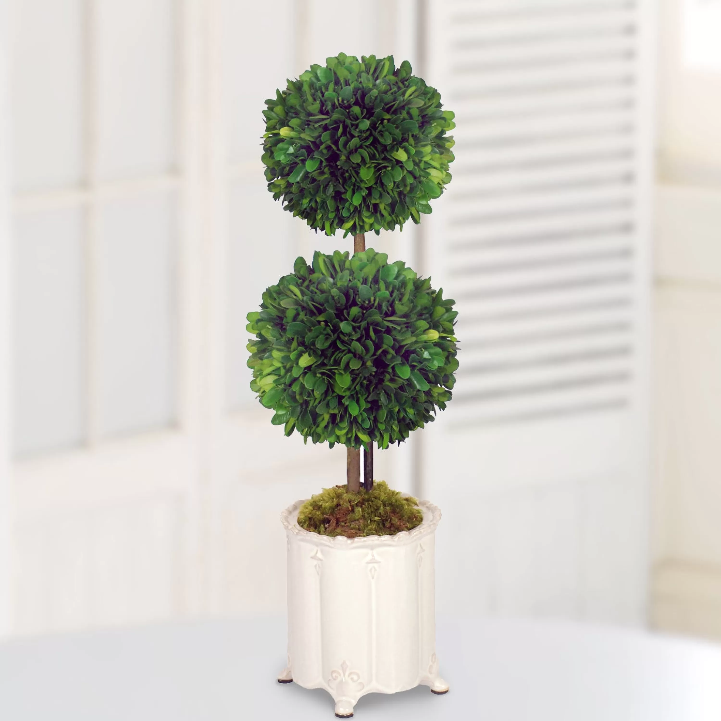 Clearance DOUBLE BALL TOPIARY IN CANISTER VASE (WHD118-GR) Tabletop Greenery | Tabletop