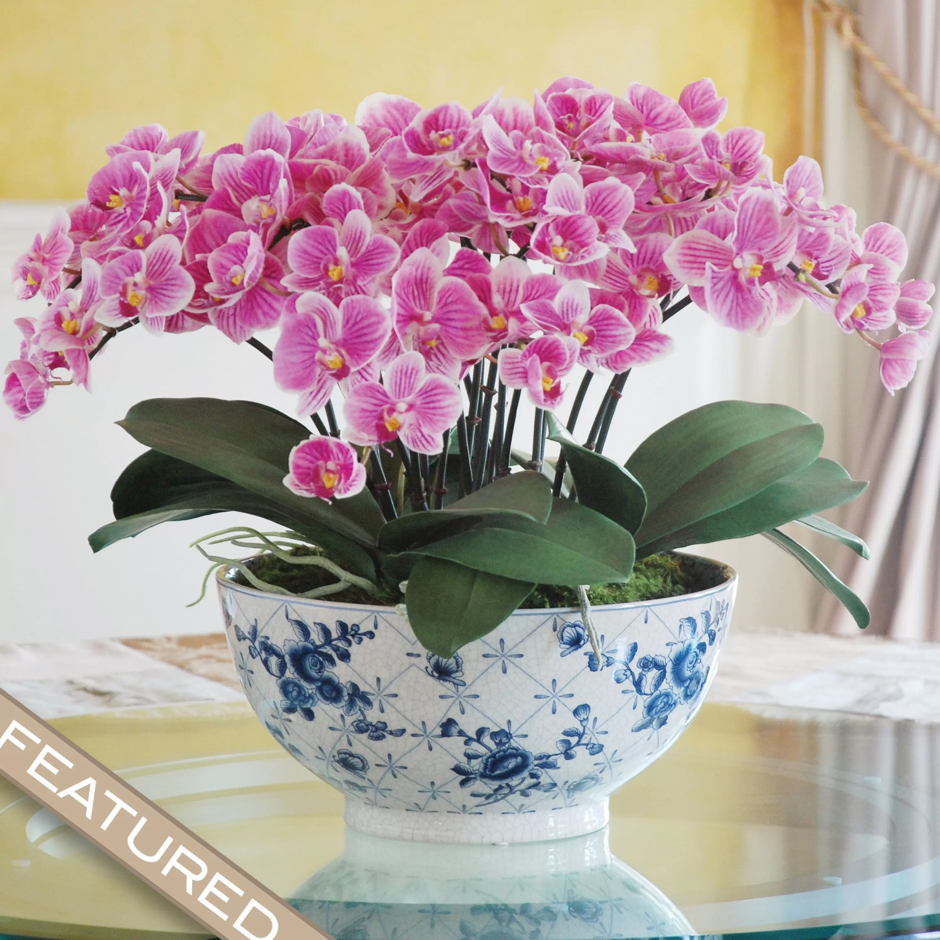 Online ECLECTIC PHALAENOPSIS ORCHID CENTERPIECE (DP770-PUWH) Tabletop | Dining Centerpieces