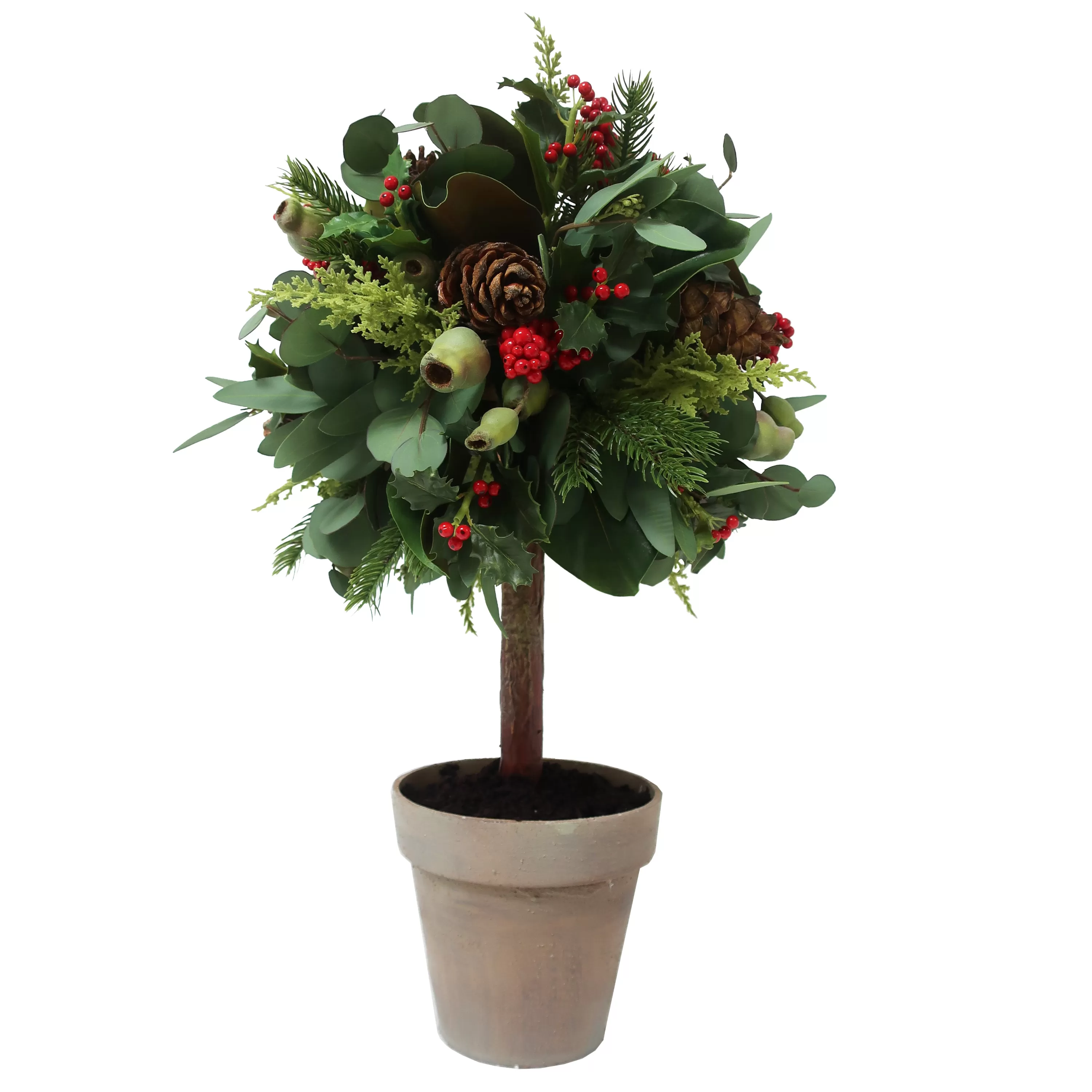 Clearance Eucalyptus Holiday in Pot 26" Our Favorite Holiday Decor