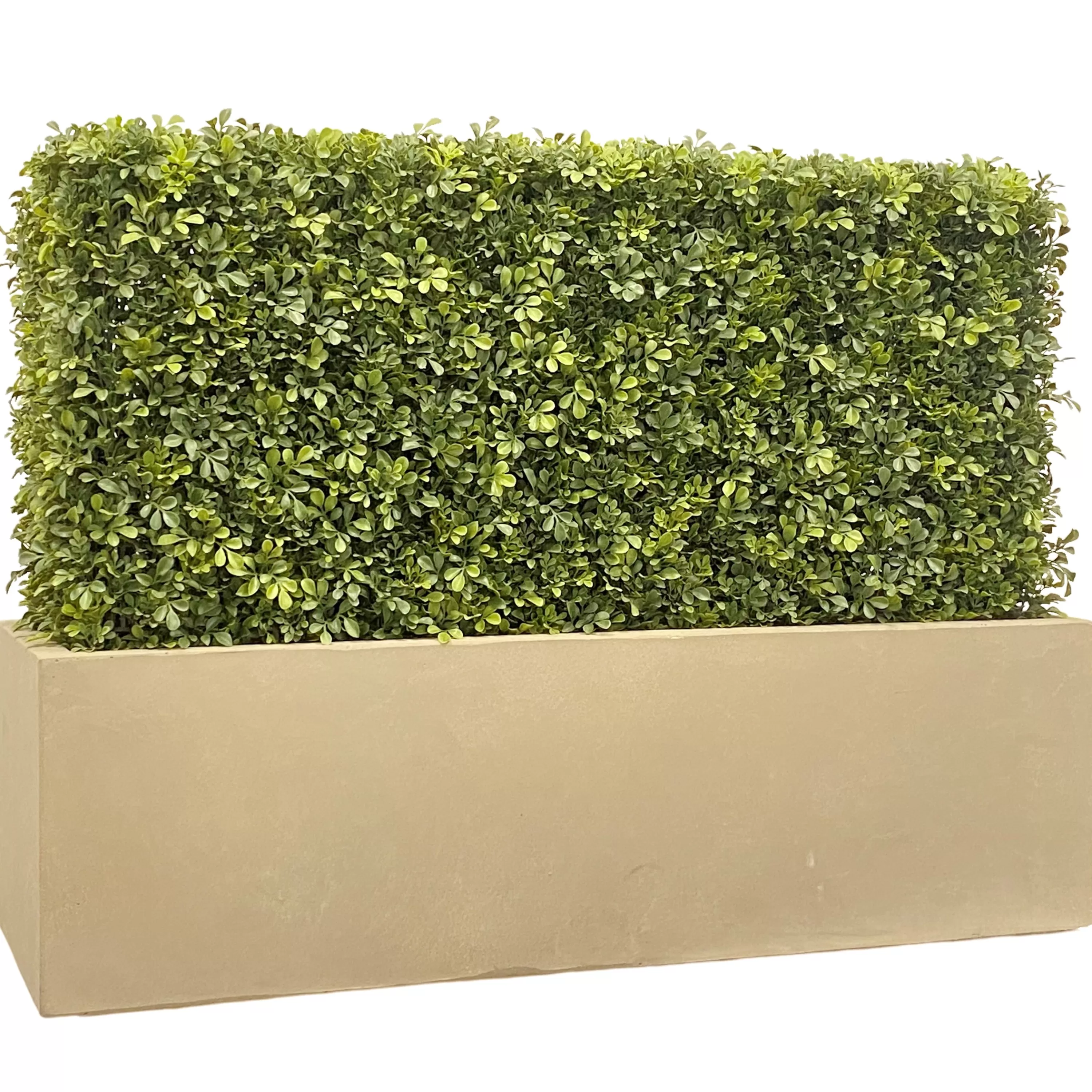 Best Faux Boxwood Hedge in Planter 30" Indoor & Outdoor Boxwoods | Outdoor Patio