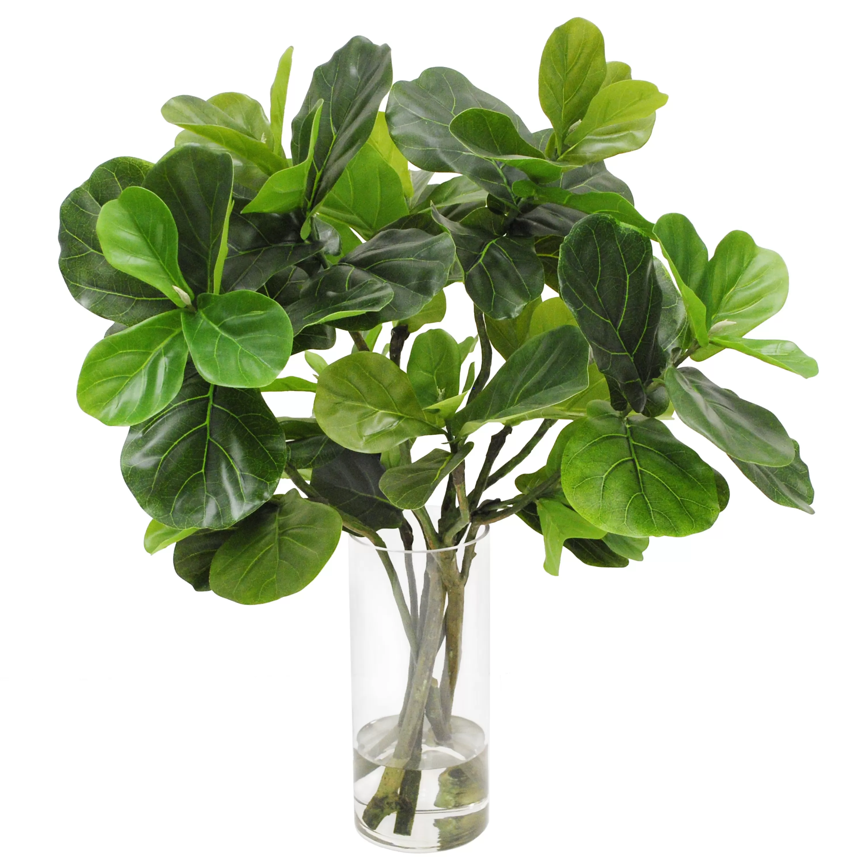 Discount FIDDLE LEAF IN ROUND VASE 36" Tabletop Greenery | Tabletop