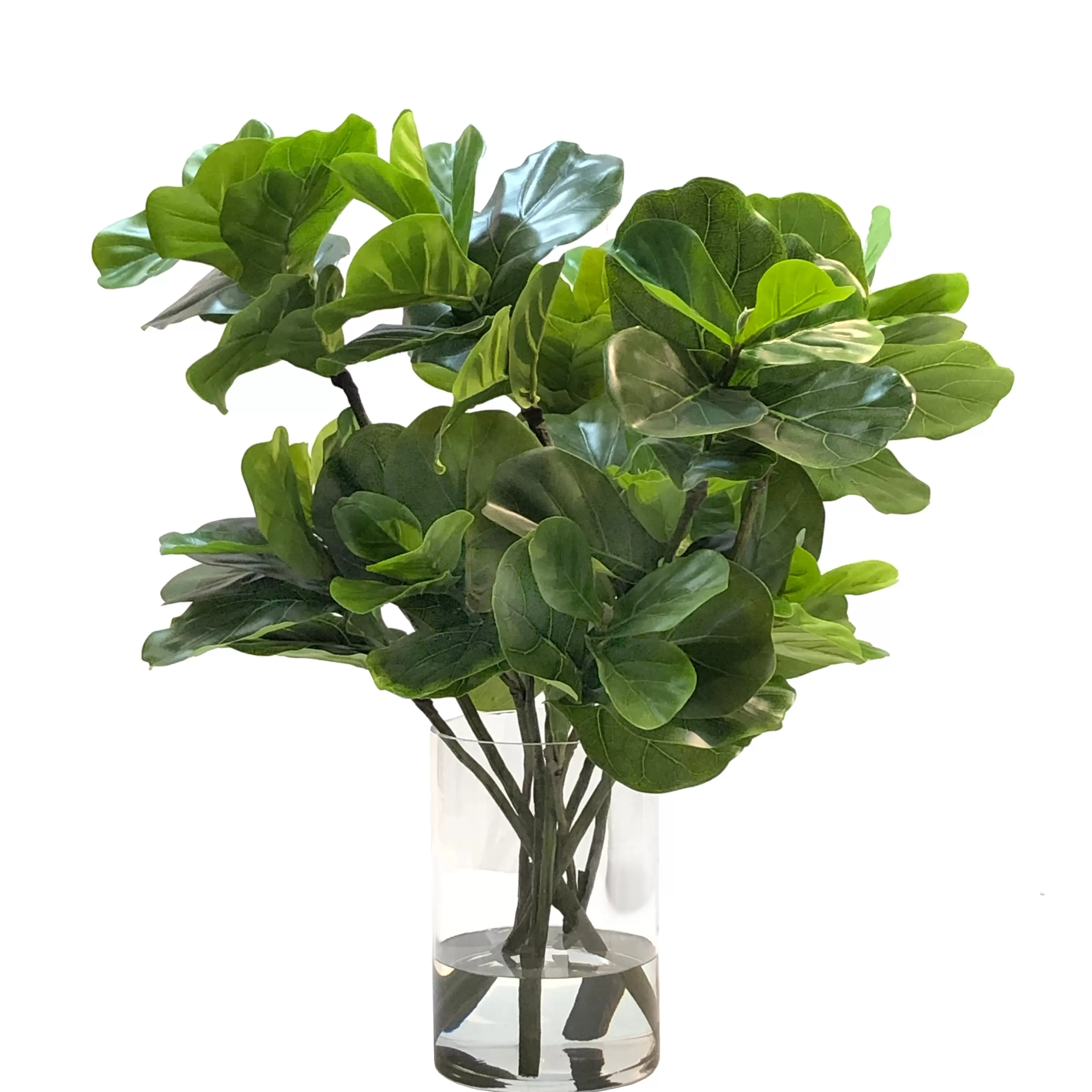 Discount Fiddle Leaf in Vase 33" Tabletop Greenery | Tabletop