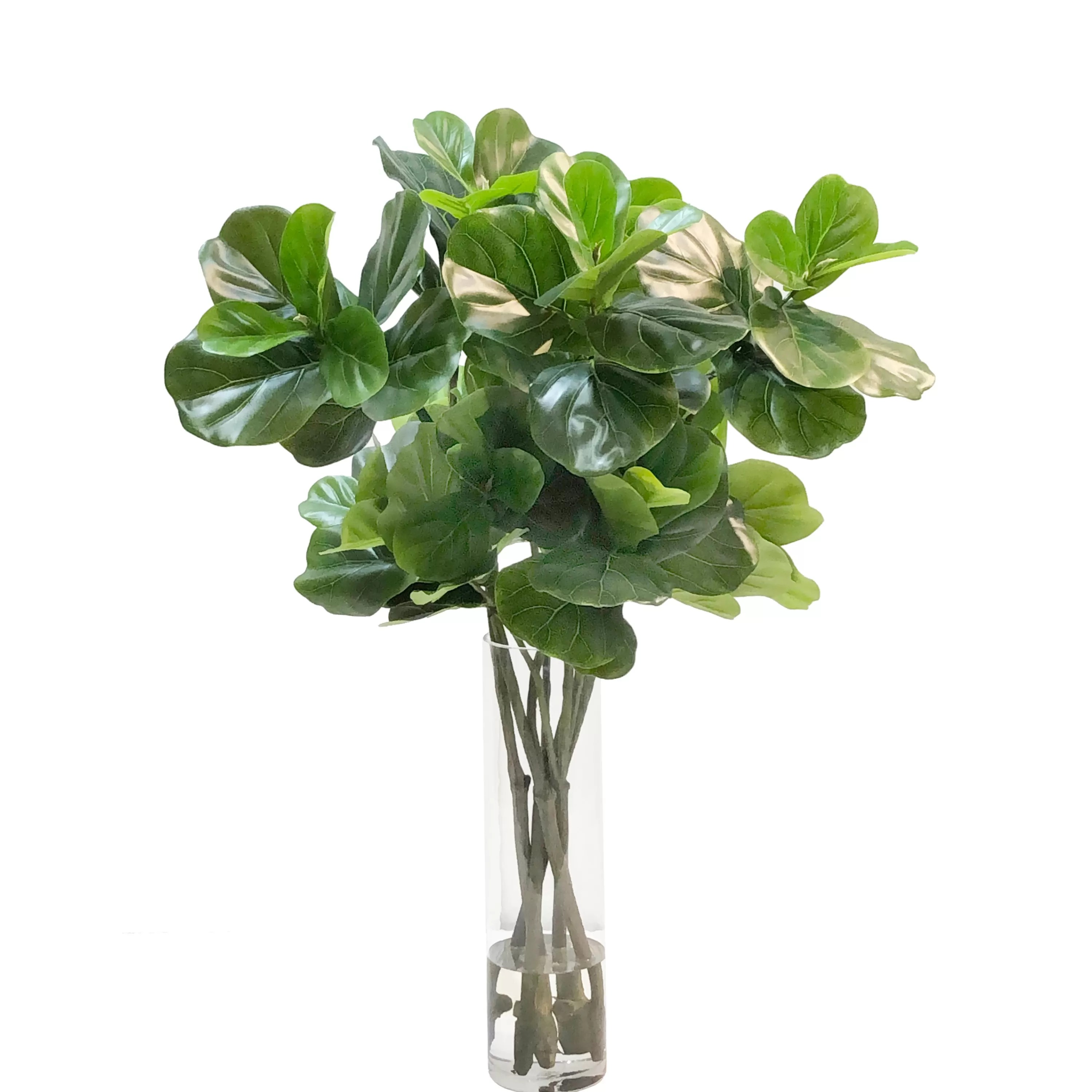 Best Fiddle Leaf in Vase 40" Tabletop Greenery | Tabletop