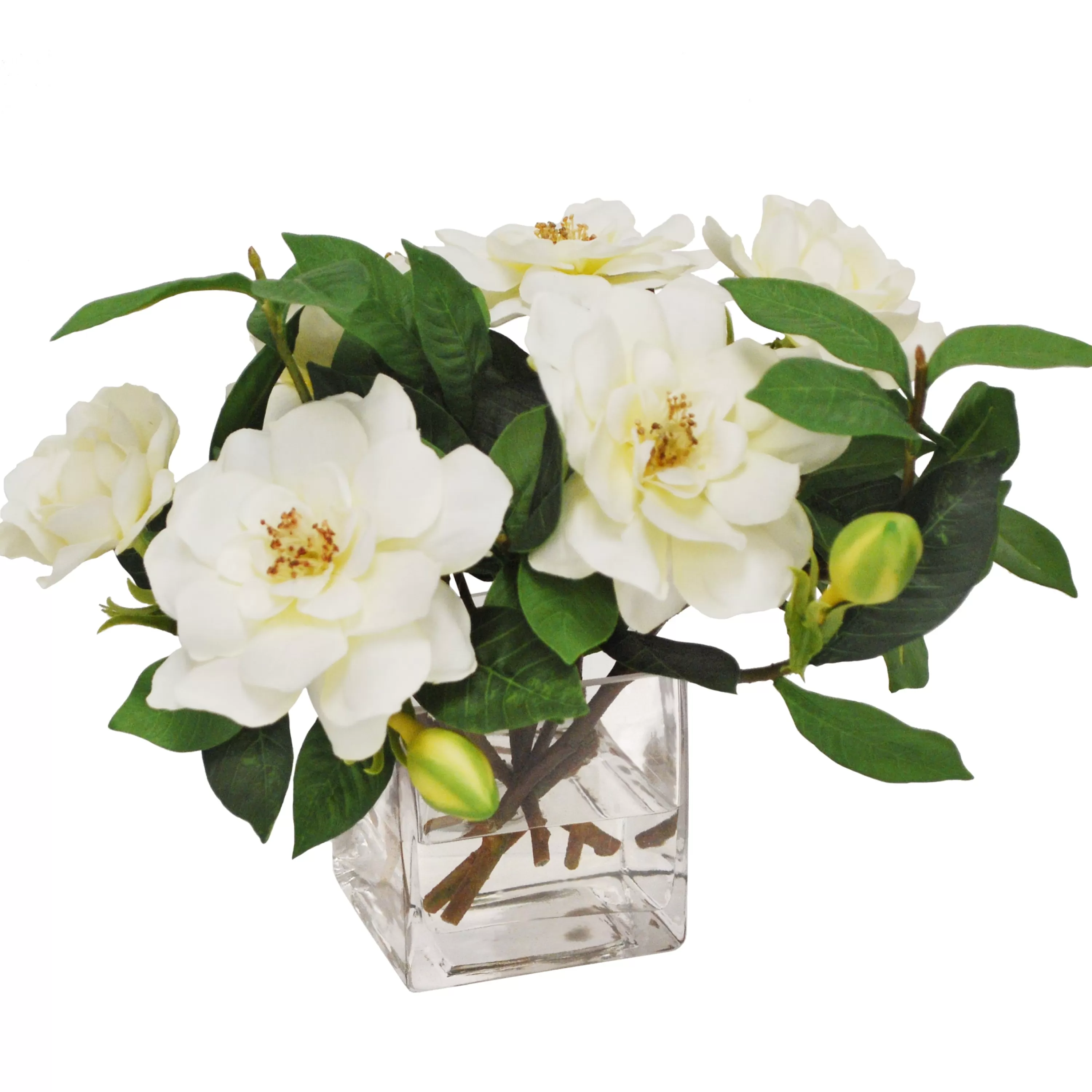 Flash Sale Gardenia Jubilation in Cube 12" Vanity