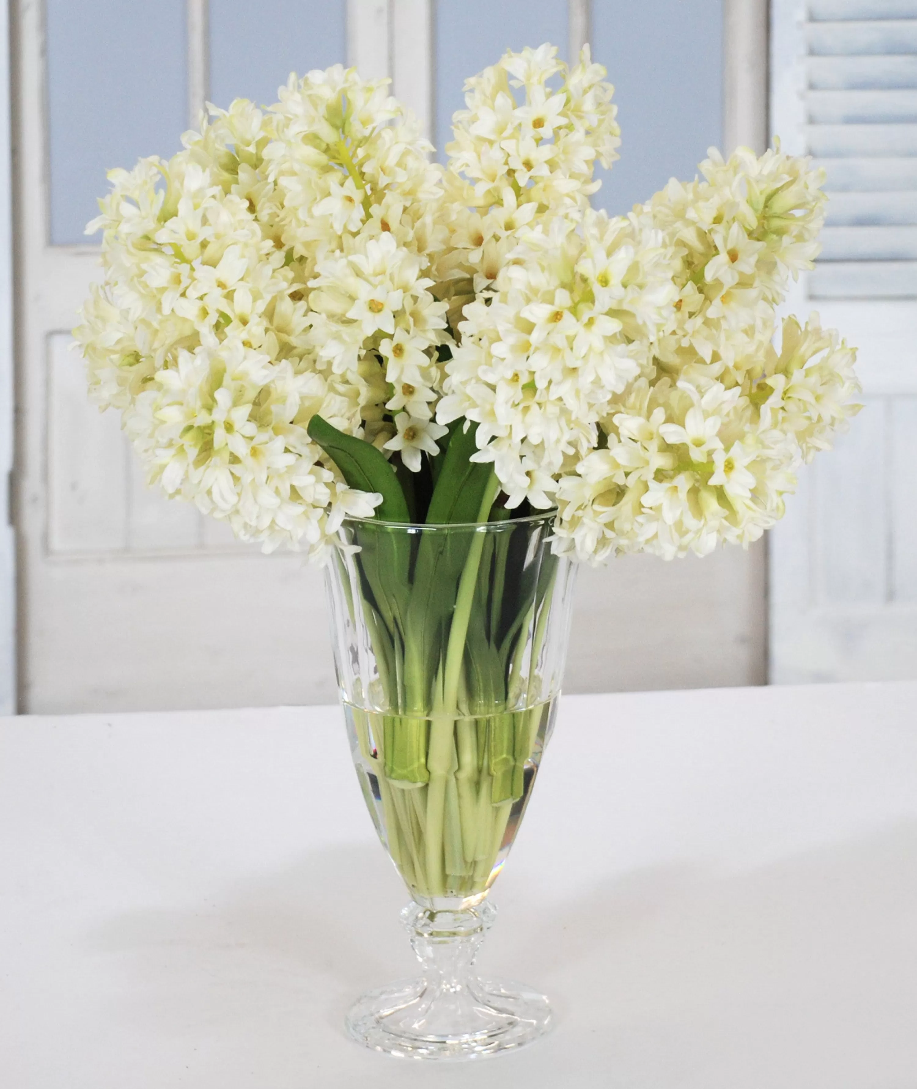 Online Hyacinth in Crystal Glass Vase 24" Tabletop