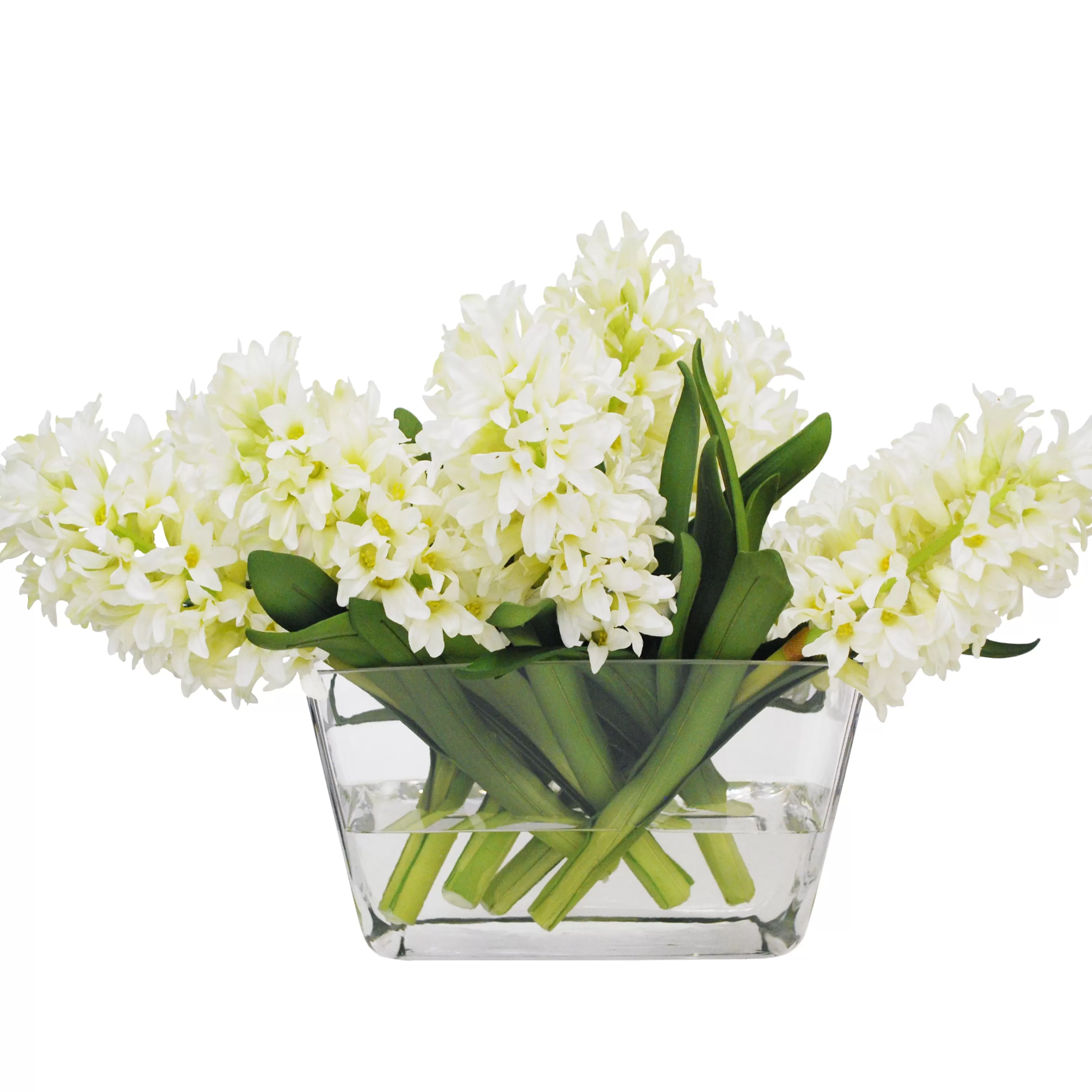 Outlet Hyacinth in Glass Vase 14" Manhattan