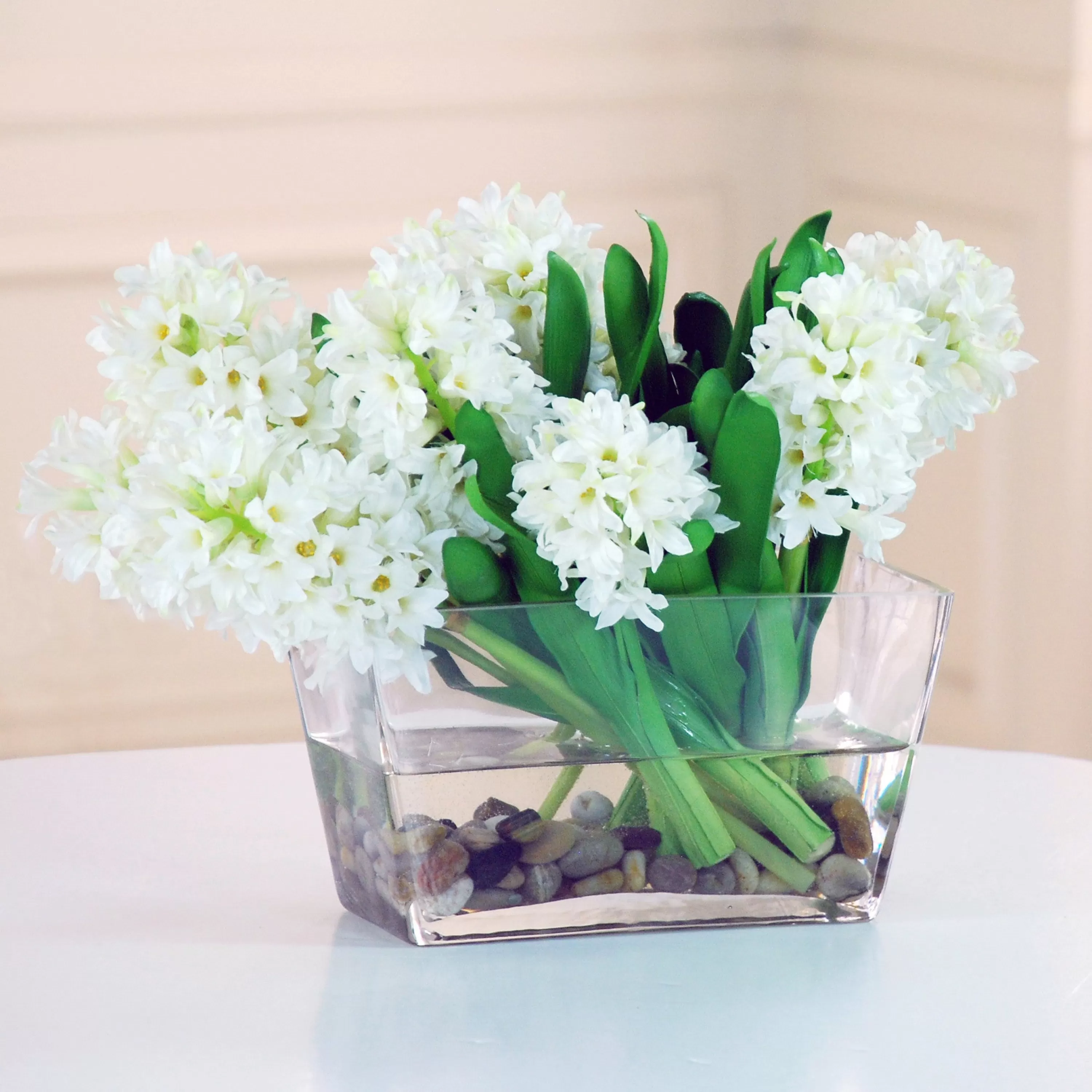 Store HYACINTH IN GLASS WITH ROCK (DP644-WHGR) Tabletop