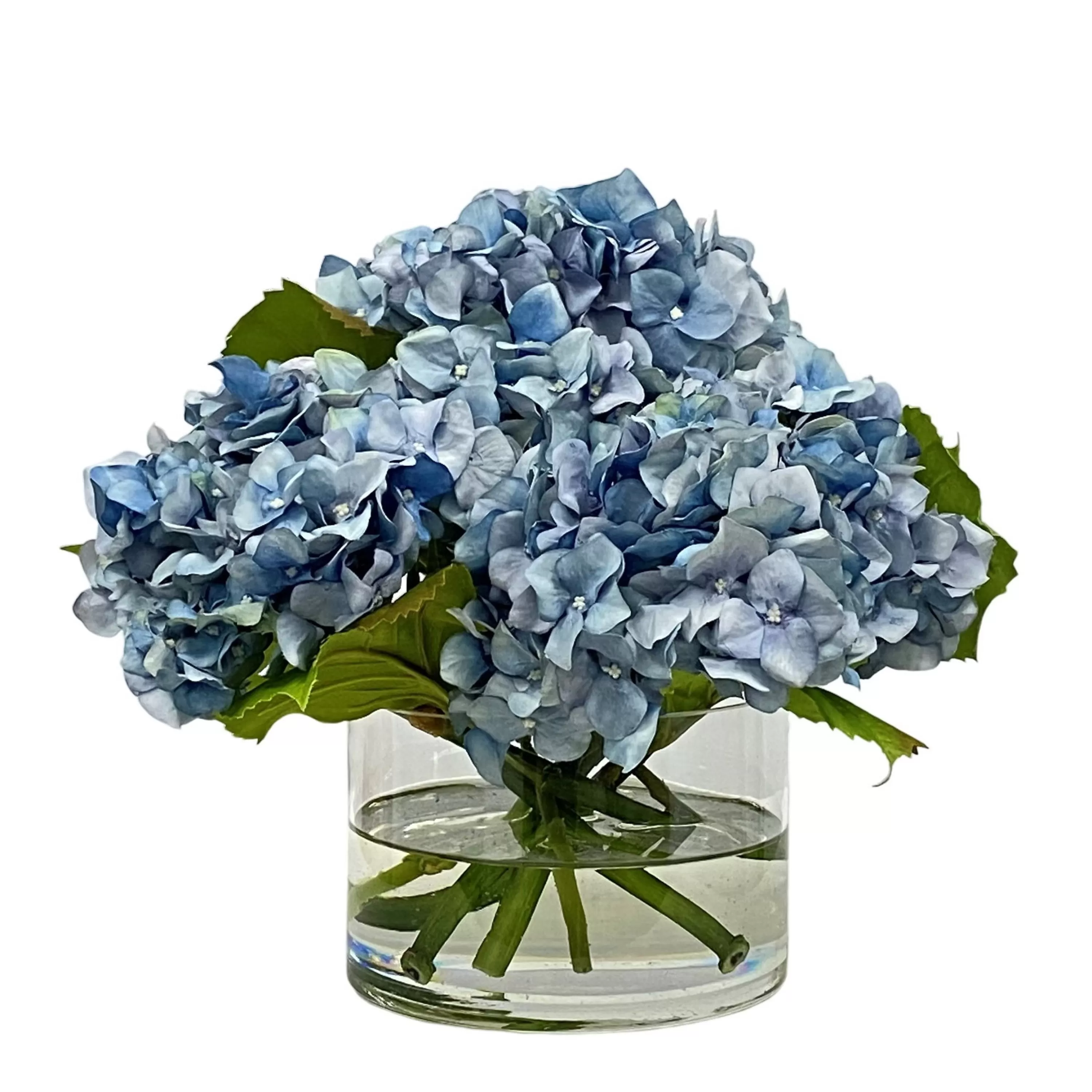 Store Hydrangea in Cylinder 10.5" Vanity