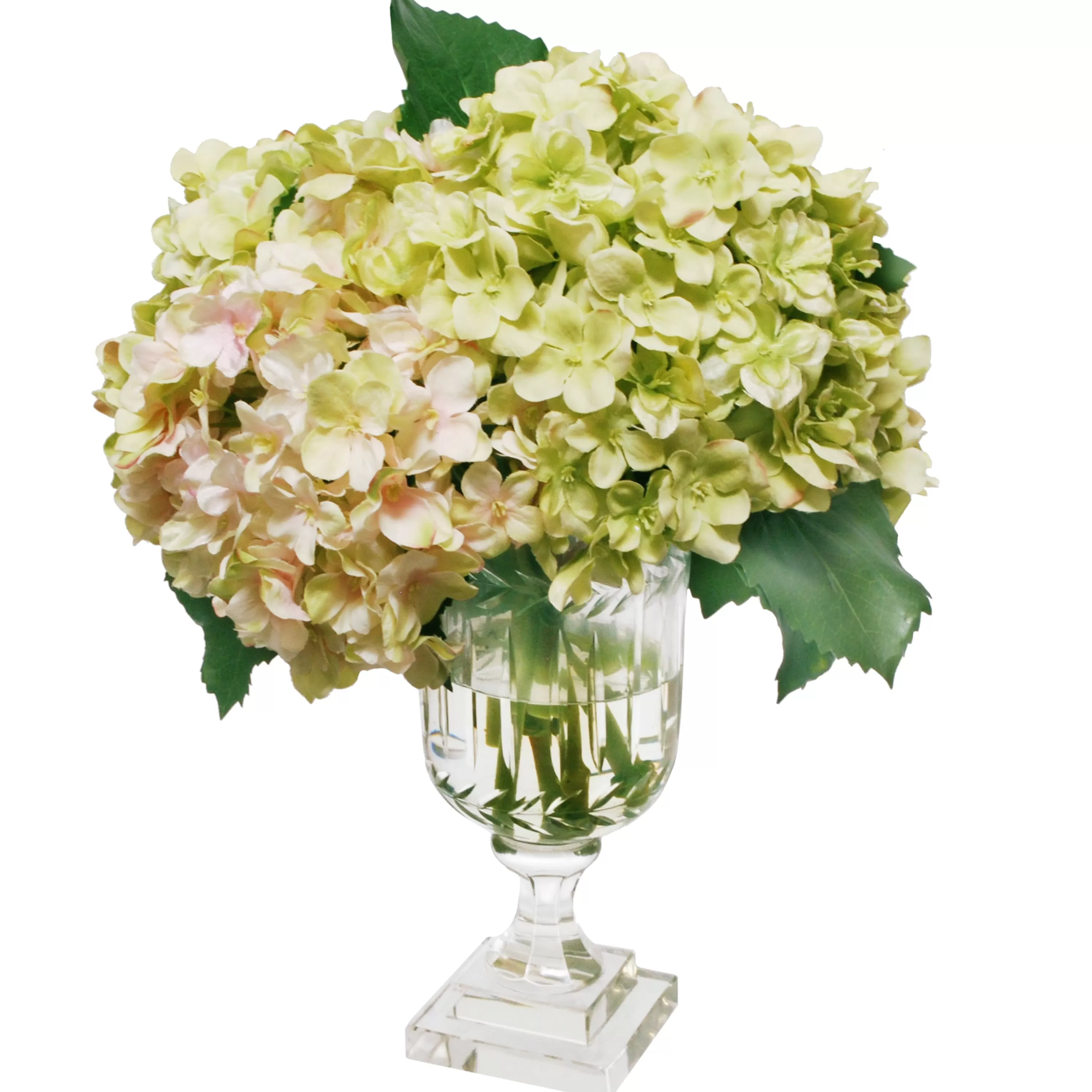 Discount Hydrangea in Leaf Cut Vase 14" Tabletop