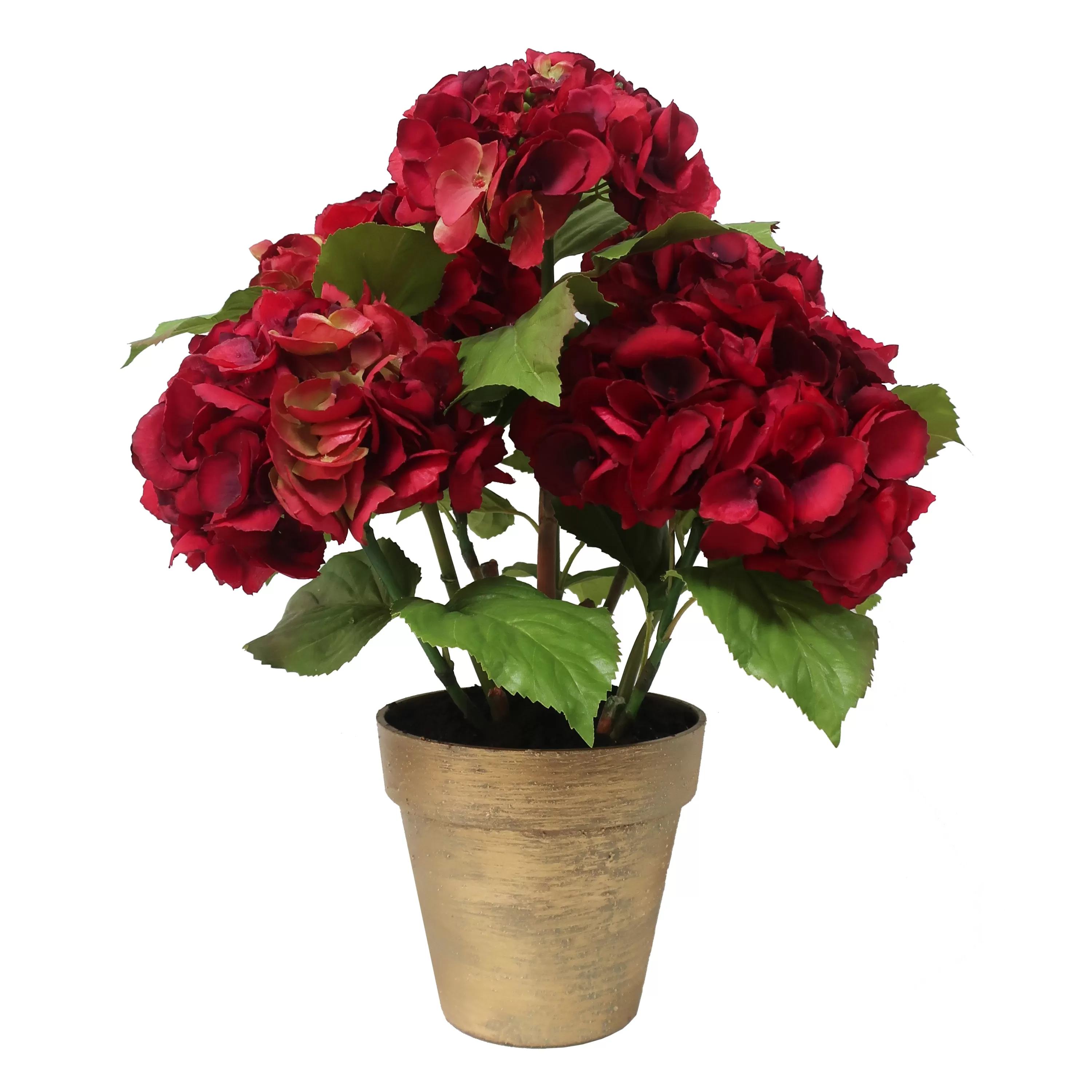 Cheap Hydrangea in Pot 22" Our Favorite Holiday Decor