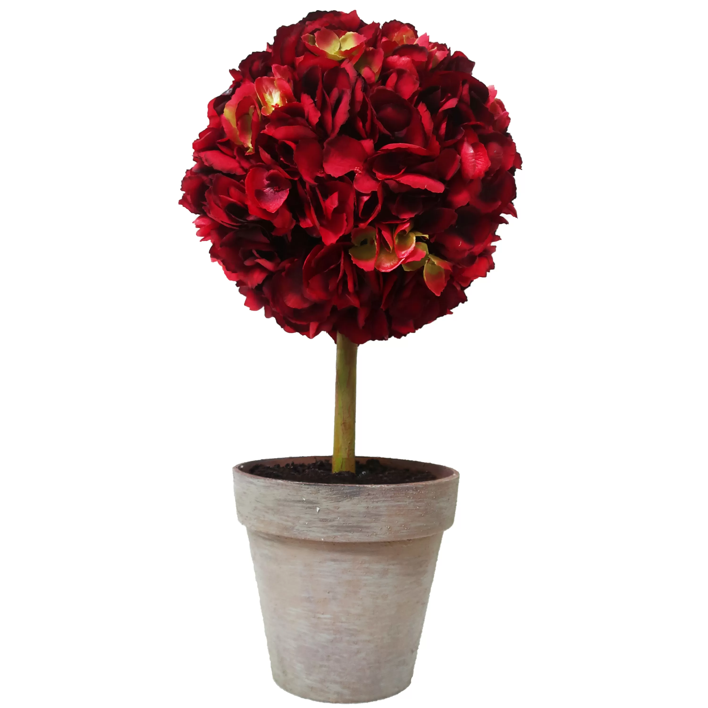 Best Hydrangea in Pot 21.5" Our Favorite Holiday Decor