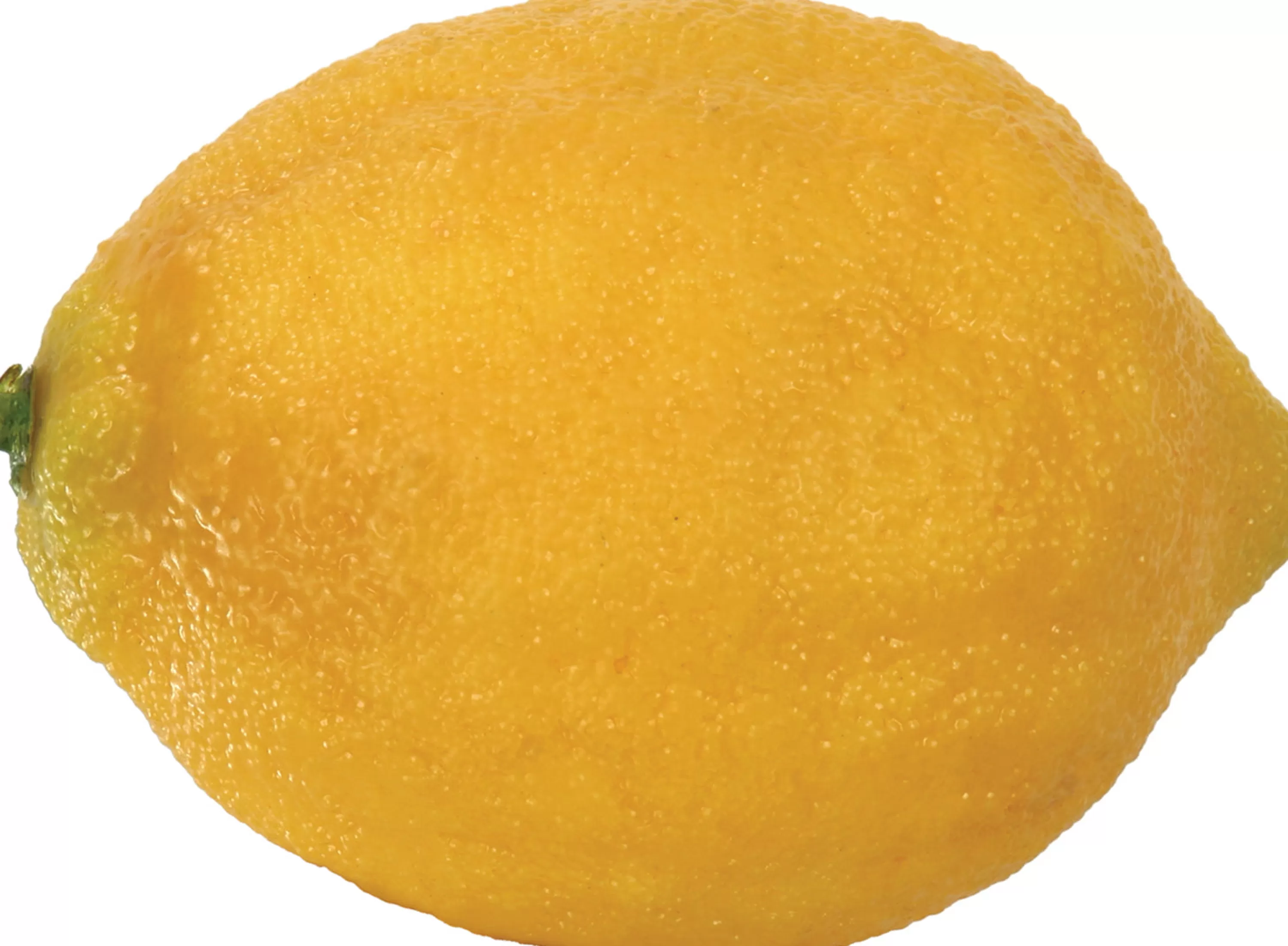 Clearance Lemon Eureka (set of 12) Faux Fruits & Vegetables