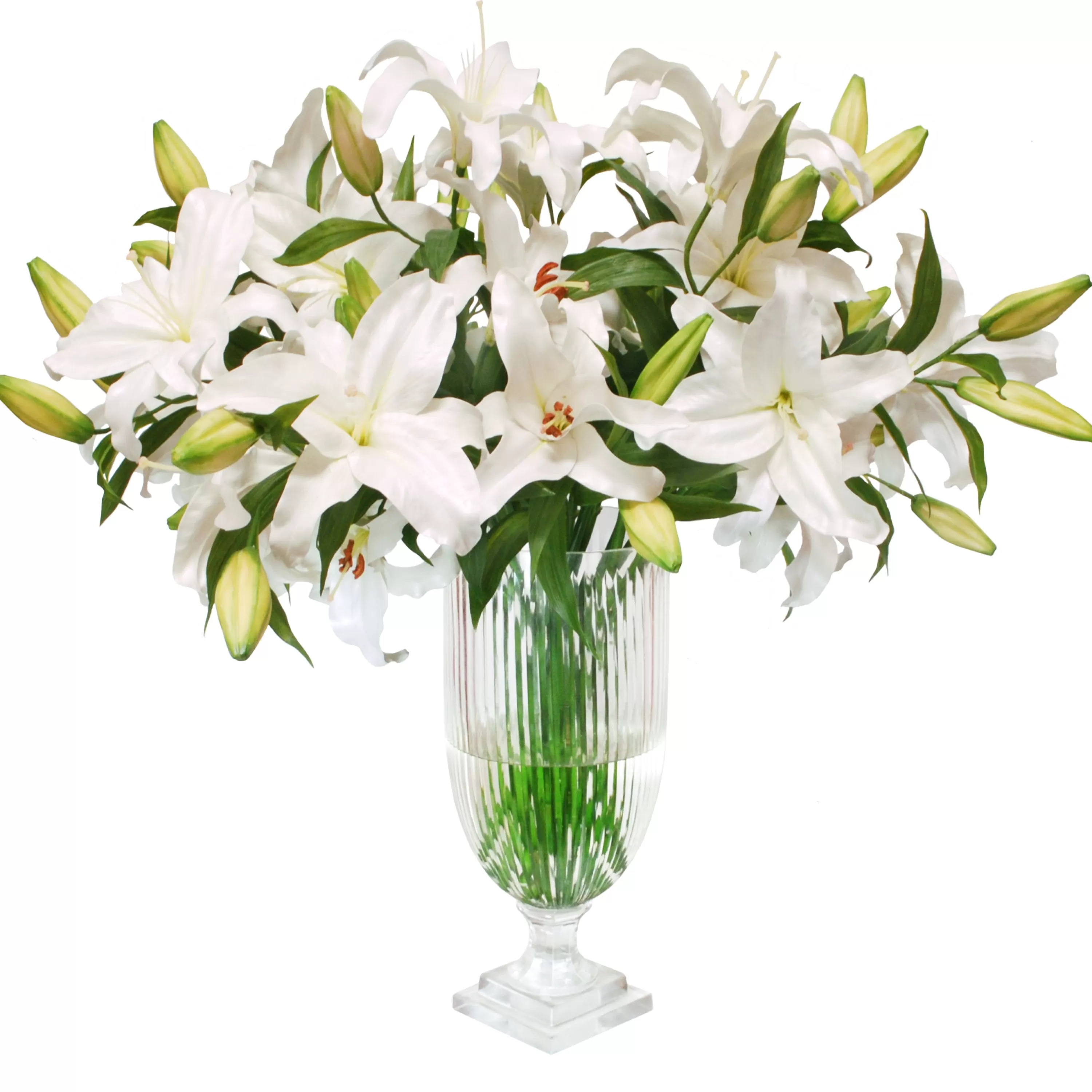 New LILY CASABLANCA IN STRIPE CUT VASE 31" Manhattan