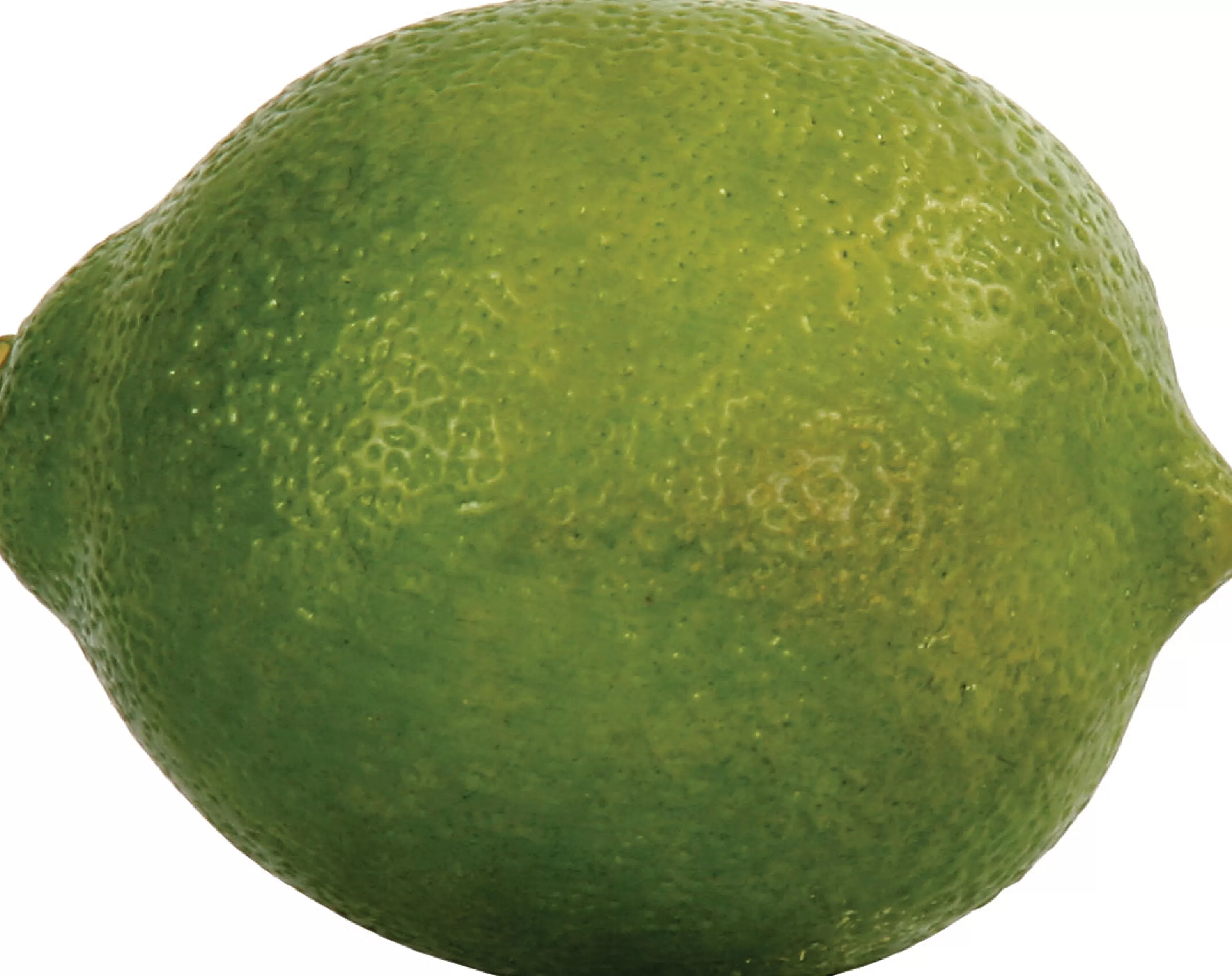 Clearance Lime (set of 12) Faux Fruits & Vegetables