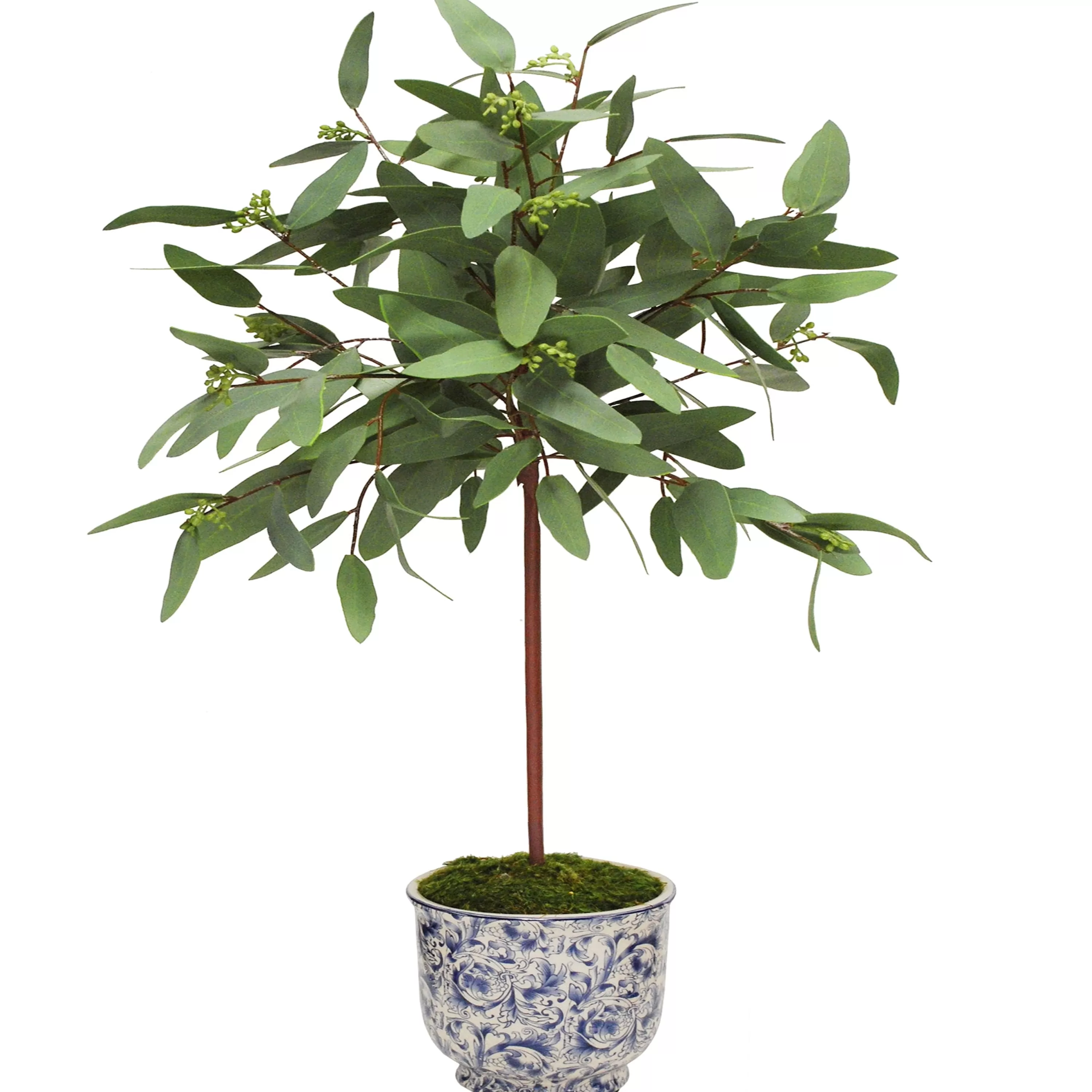 Store Long Eucalyptus in Cache Pot 30" Highland Park