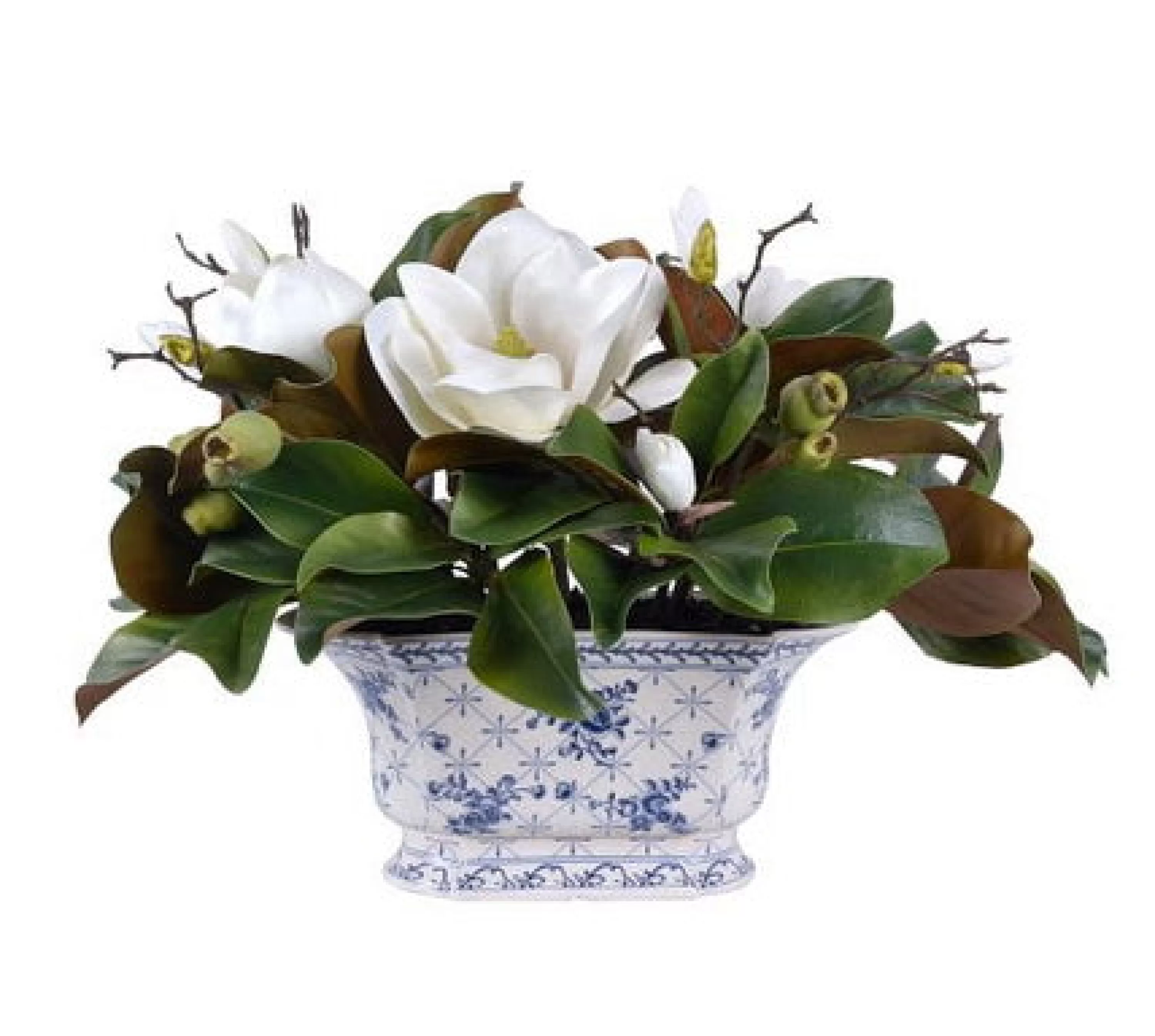 Discount MAGNOLIA IN CHINOISERIE POT 16" Highland Park