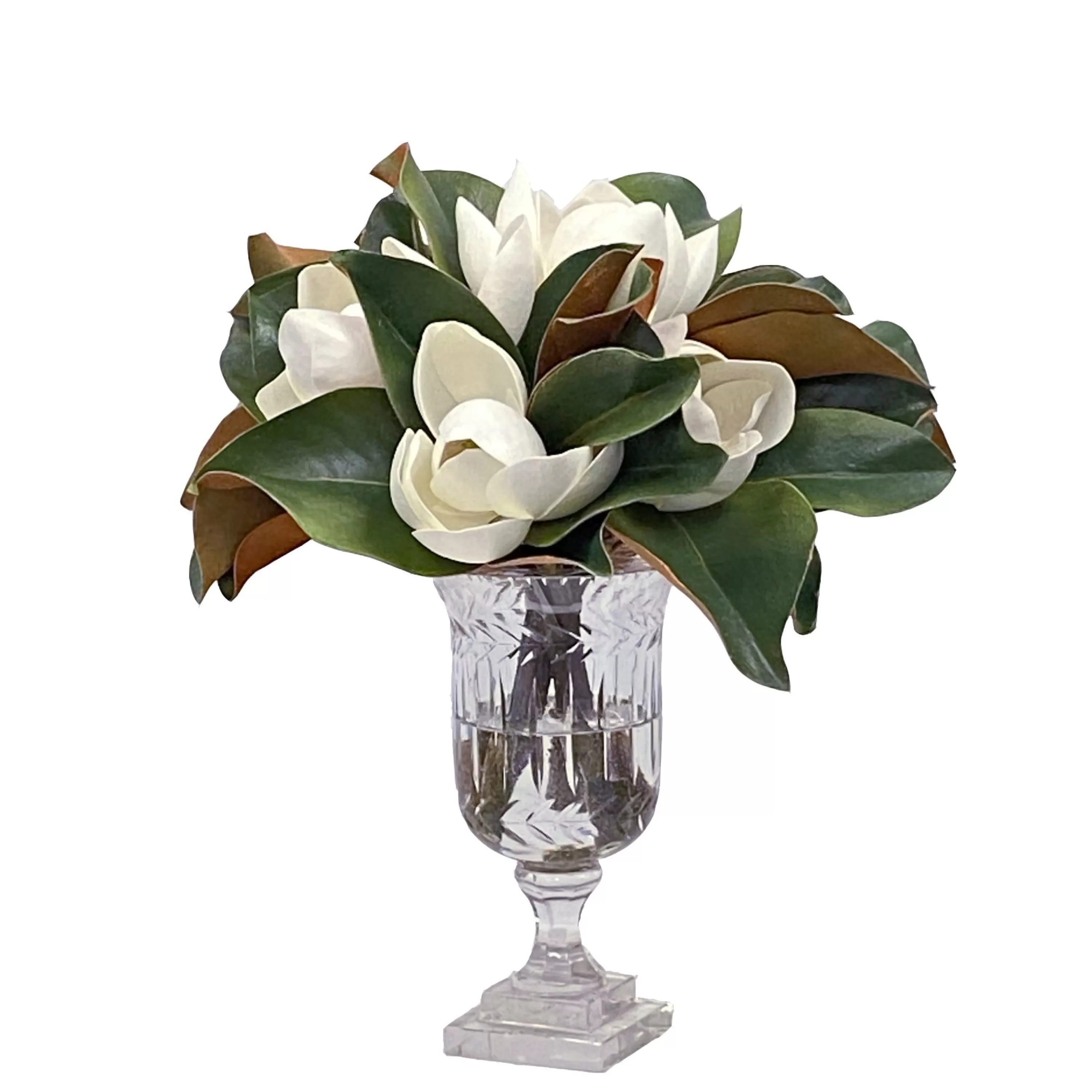 Hot Magnolia in Stripe Vase 14" Our Favorite Holiday Decor