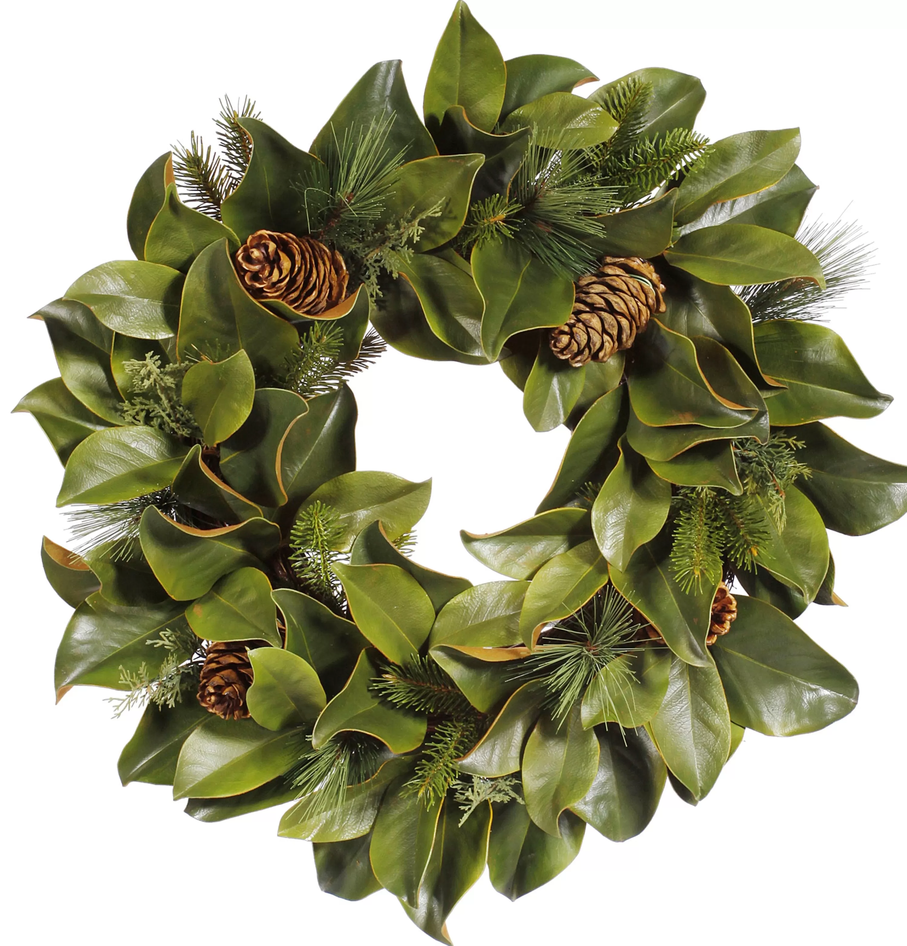 Fashion Magnolia Leaf & Mix Pine Wreath 24" Wreaths & Garlands | Wreaths & Garlands