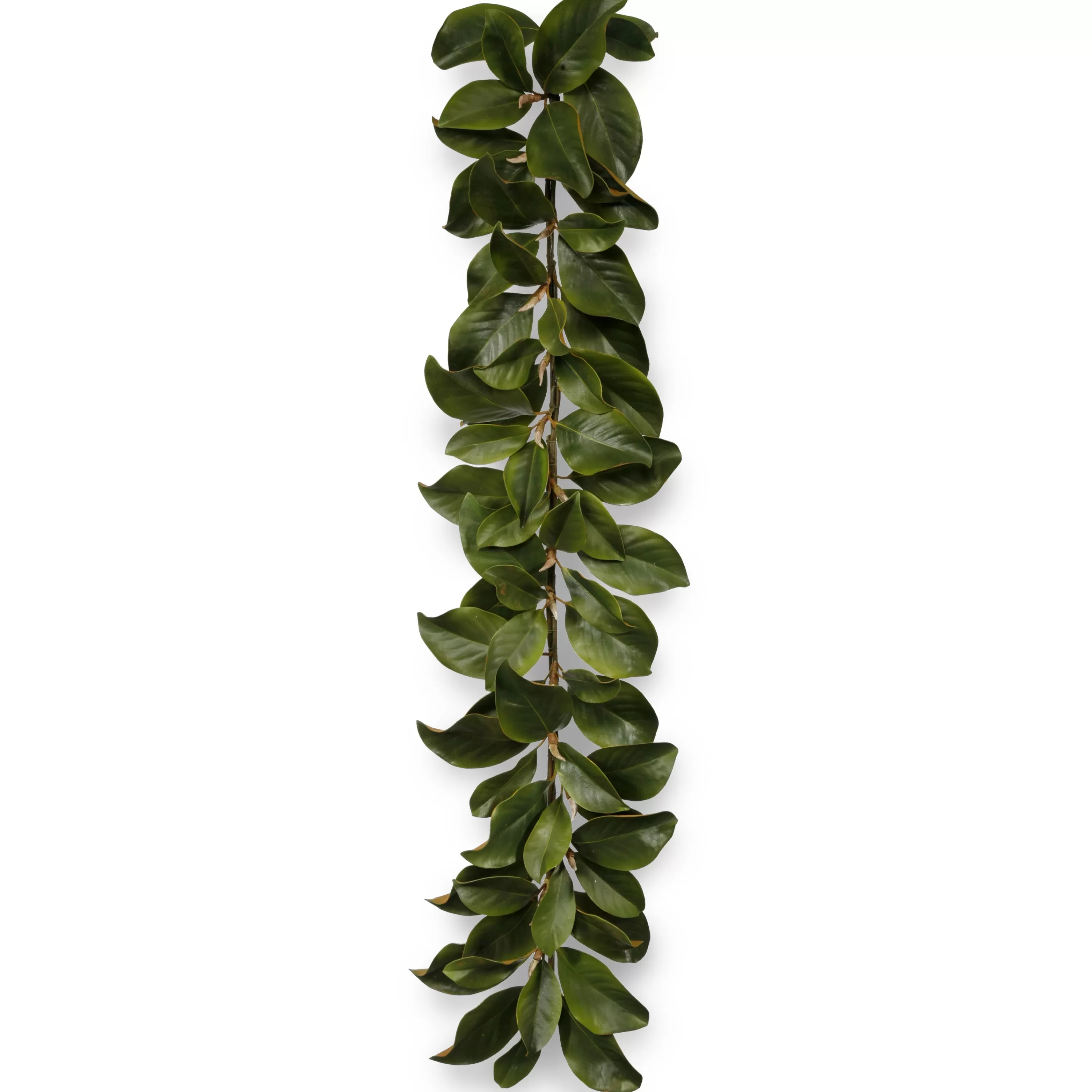 Cheap Magnolia Leaf Garland 5-ft long Wreaths & Garlands | Wreaths & Garlands