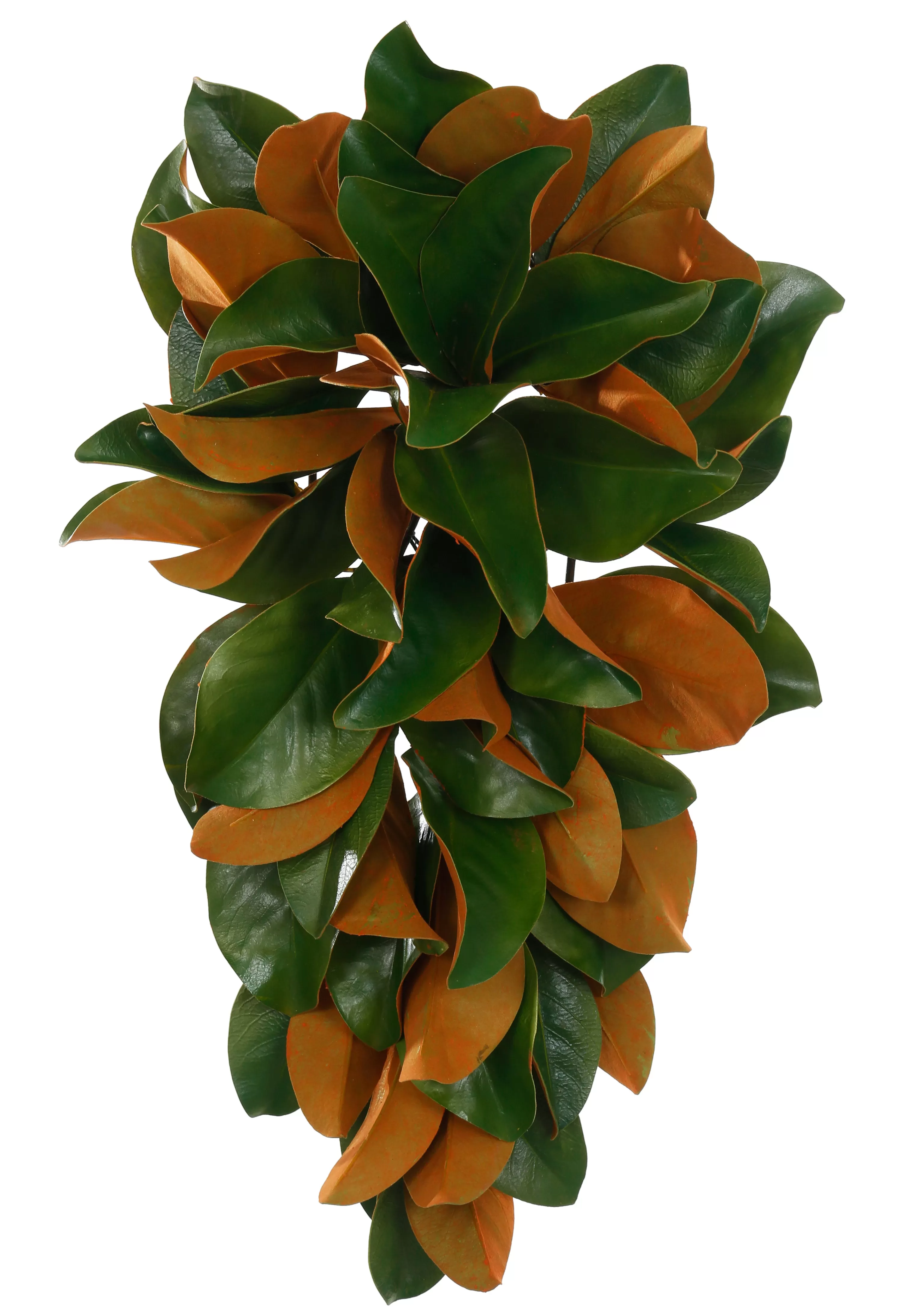 Outlet Magnolia Leaf Teardrop 28" Wreaths & Garlands | Wreaths & Garlands