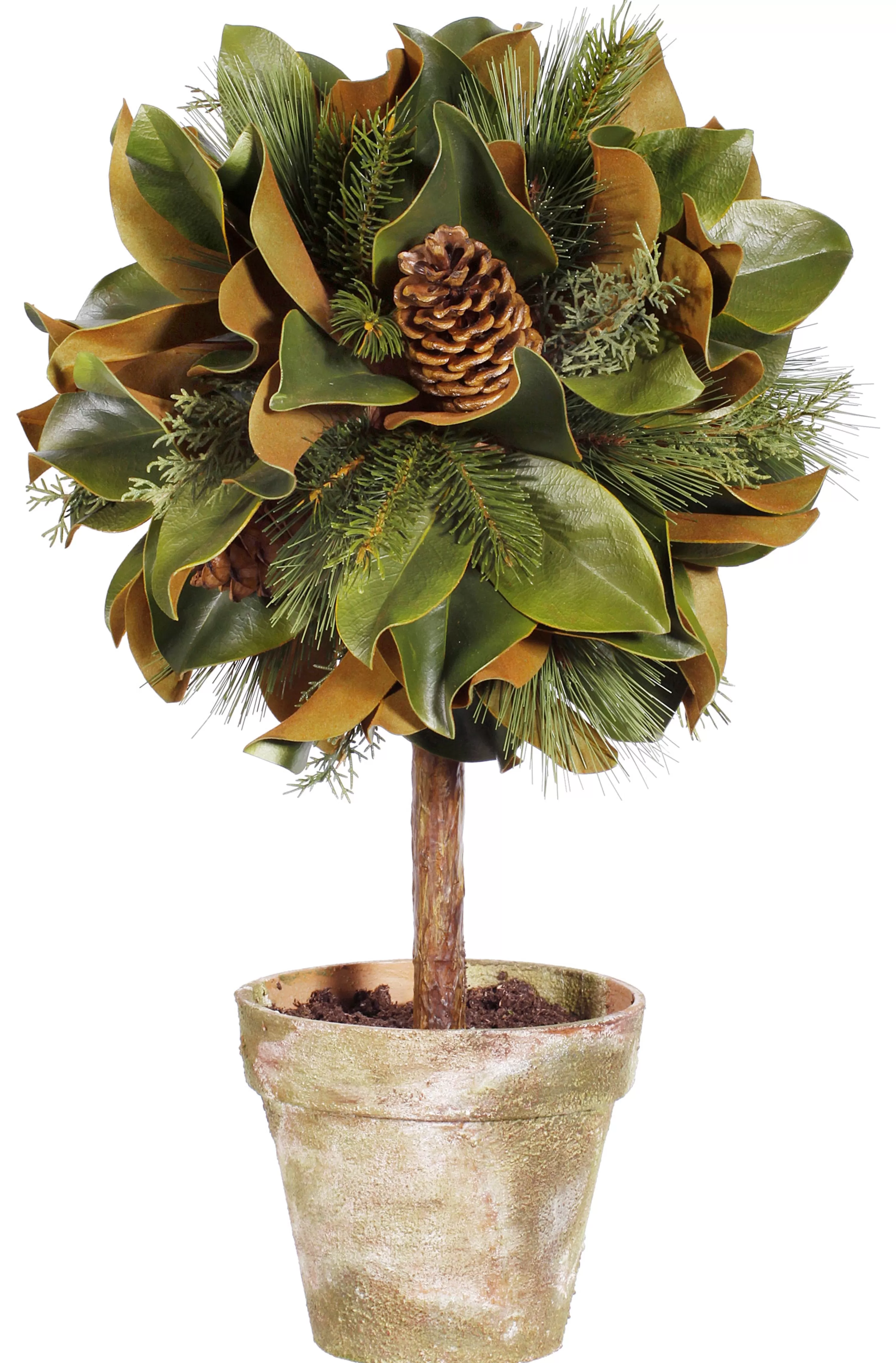 Online Magnolia Leaf Topiary 26" Wreaths & Garlands | Wreaths & Garlands