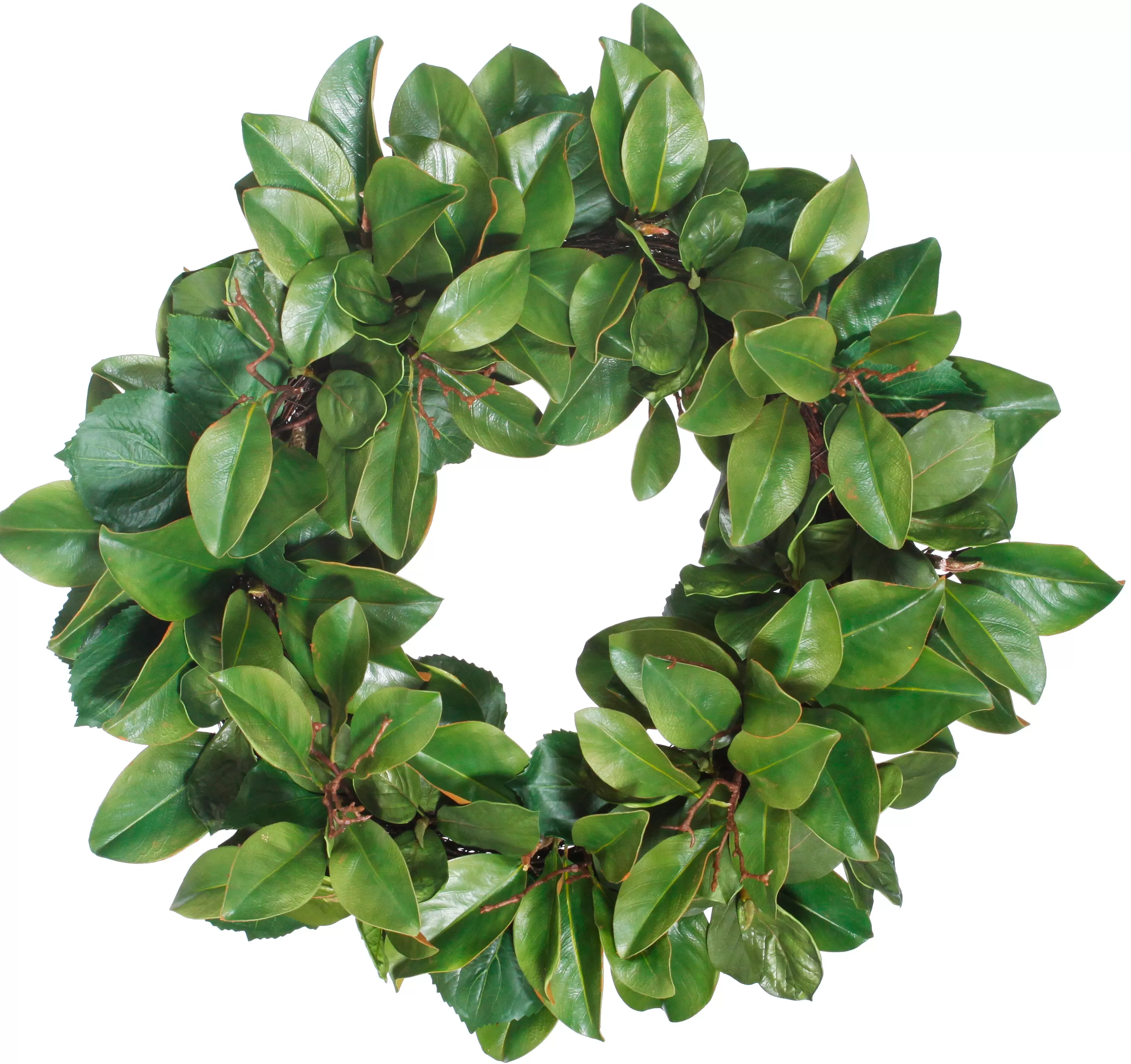 Best Magnolia Leaf Twig Wreath 30" Wreaths & Garlands | Wreaths & Garlands