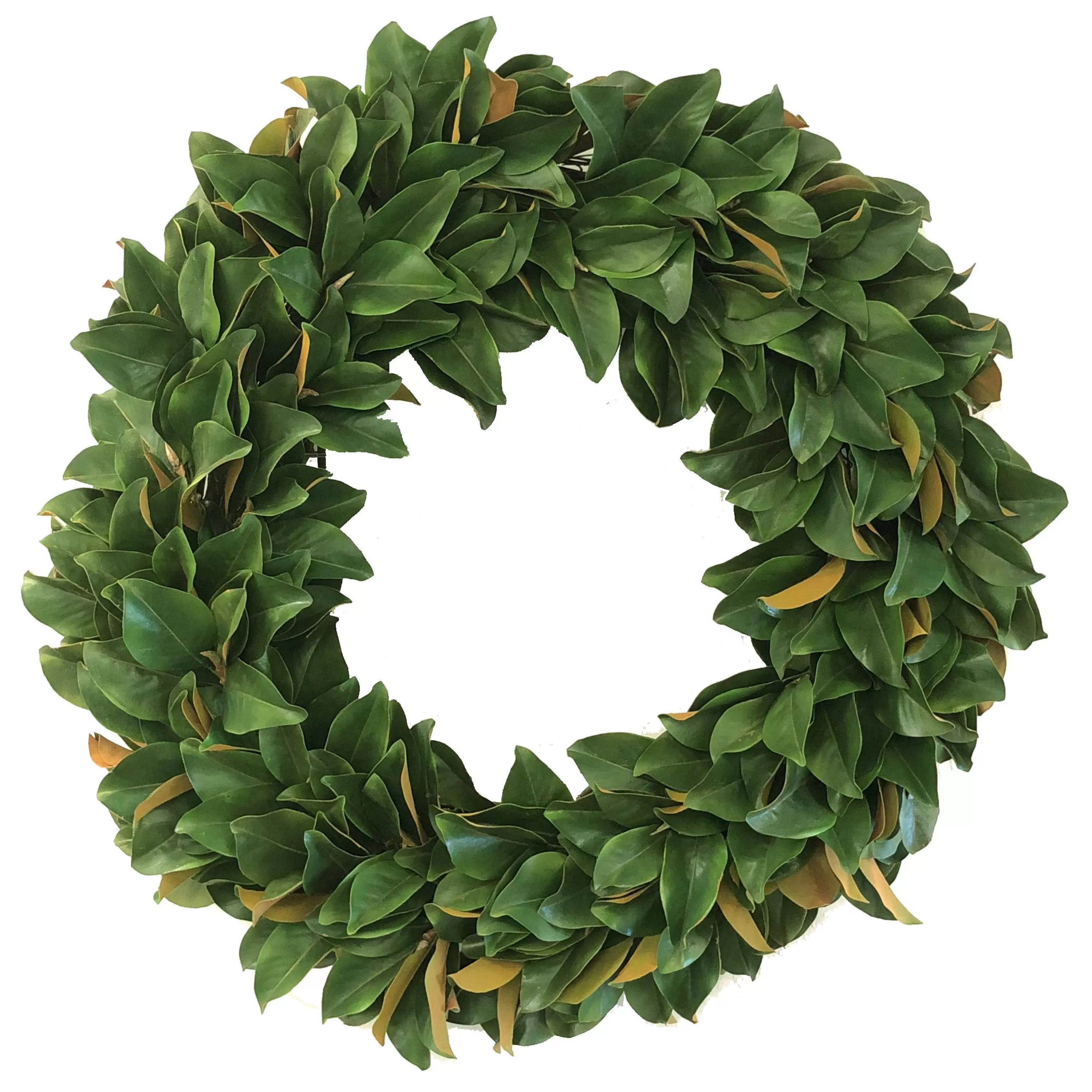 New Magnolia Leaf Wreath 36" Wreaths & Garlands | Wreaths & Garlands