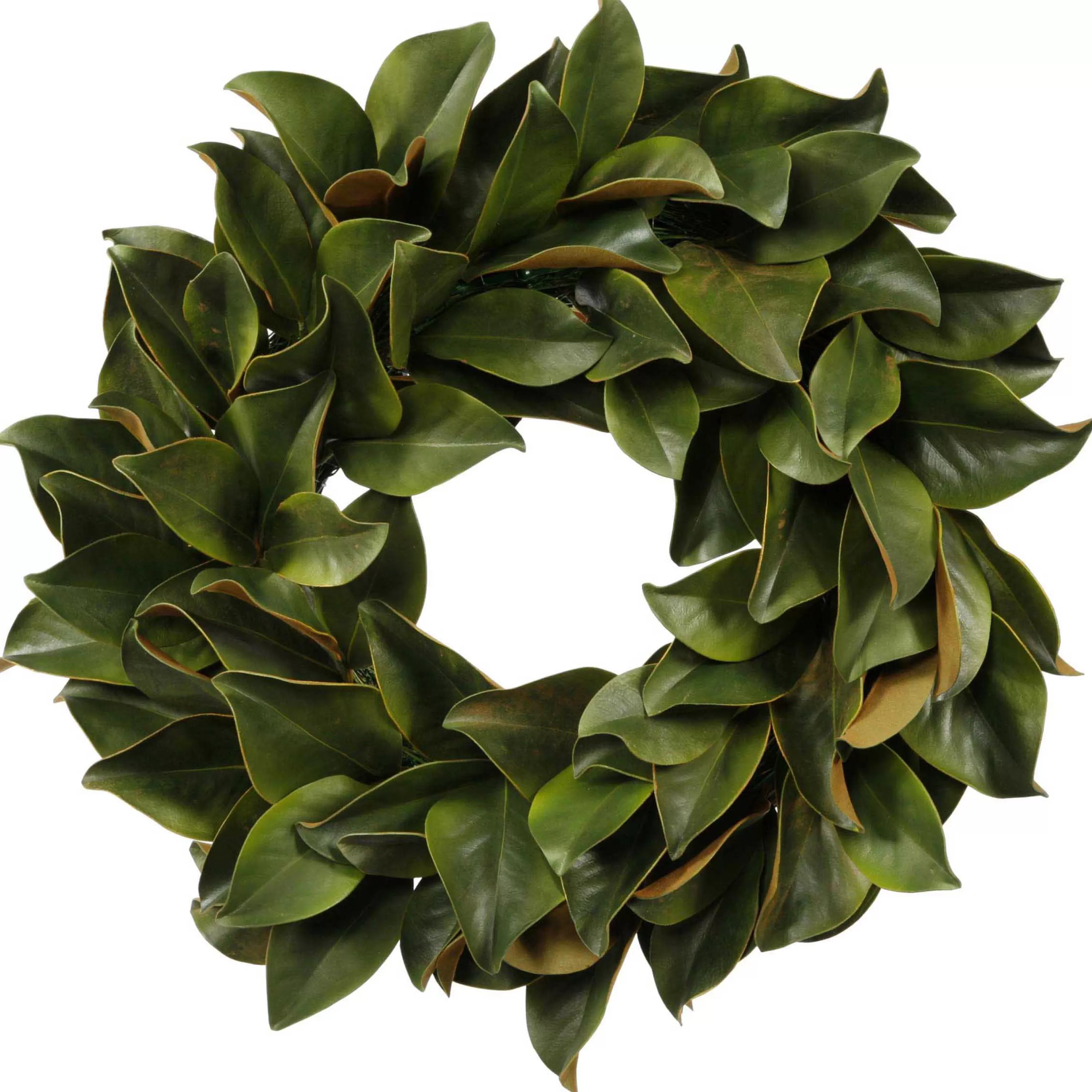 Hot Magnolia Leaf Wreath 24" Wreaths & Garlands | Wreaths & Garlands