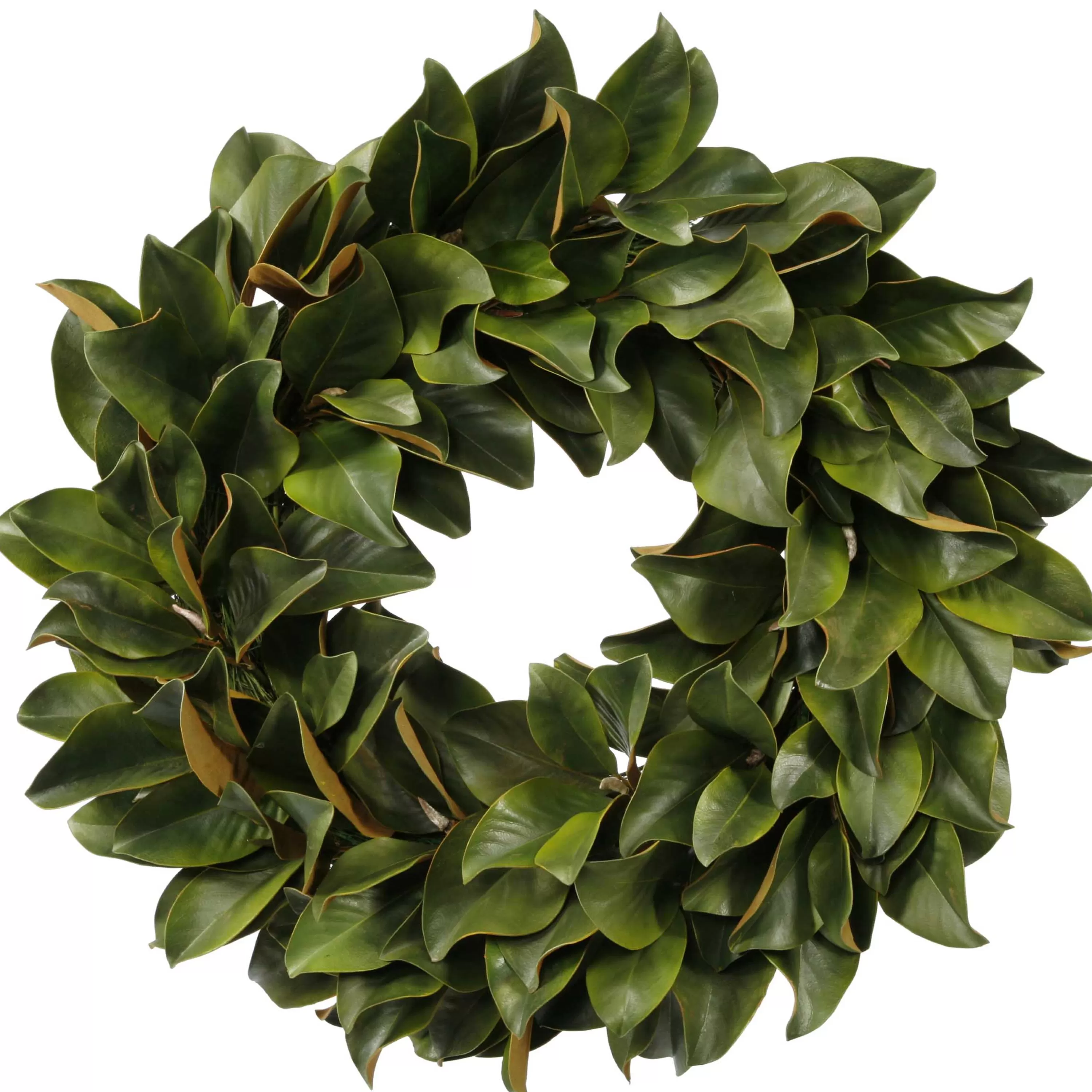 Outlet Magnolia Leaf Wreath 30" Wreaths & Garlands | Wreaths & Garlands