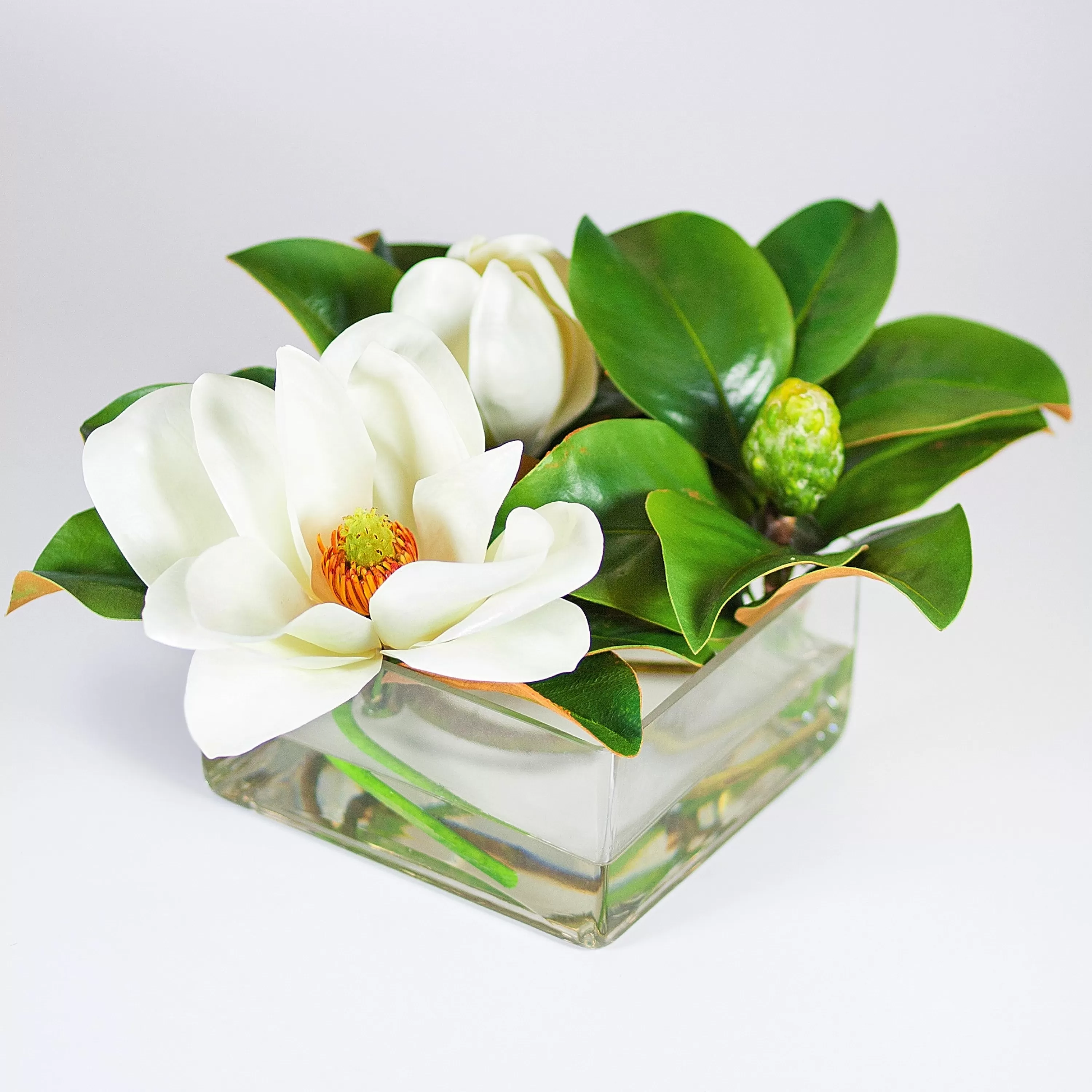 Fashion MAGNOLIAS IN VASE 13" (WHI012-WH) Tabletop